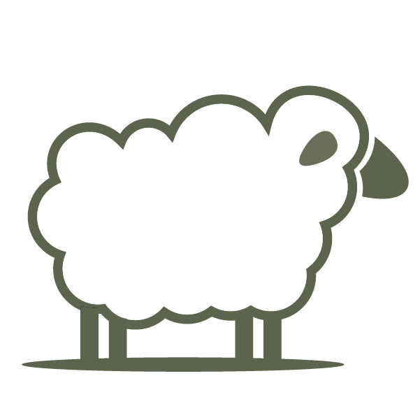 A cartoon drawing of a sheep with a fluffy body, small legs, a face, and a tail, in a simple, outline style.