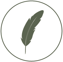 A single green feather on a white background with a dark green border. Showing that Big Wool is one of the world's leading producers of strong wool for furniture production and manufacturing and innovative use of wool through sustainable methods