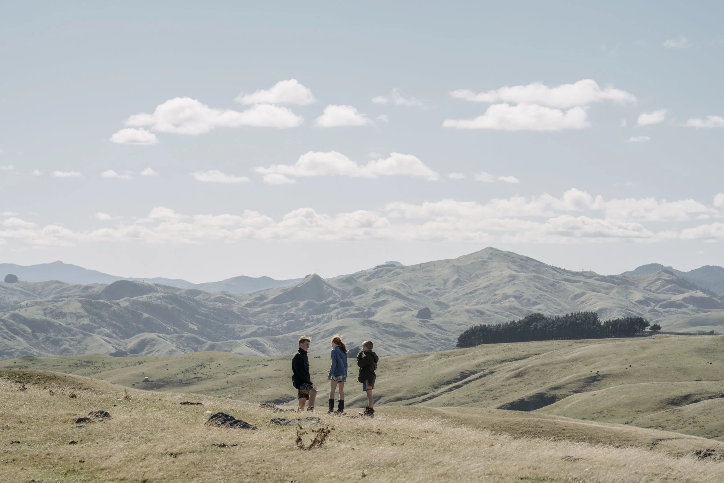 Three children walking and talking in a hilly landscape at Akitio Station in New Zealand, home of Big Wool, one of the world's leading innovators for strong wool sustainable furniture manufacturing