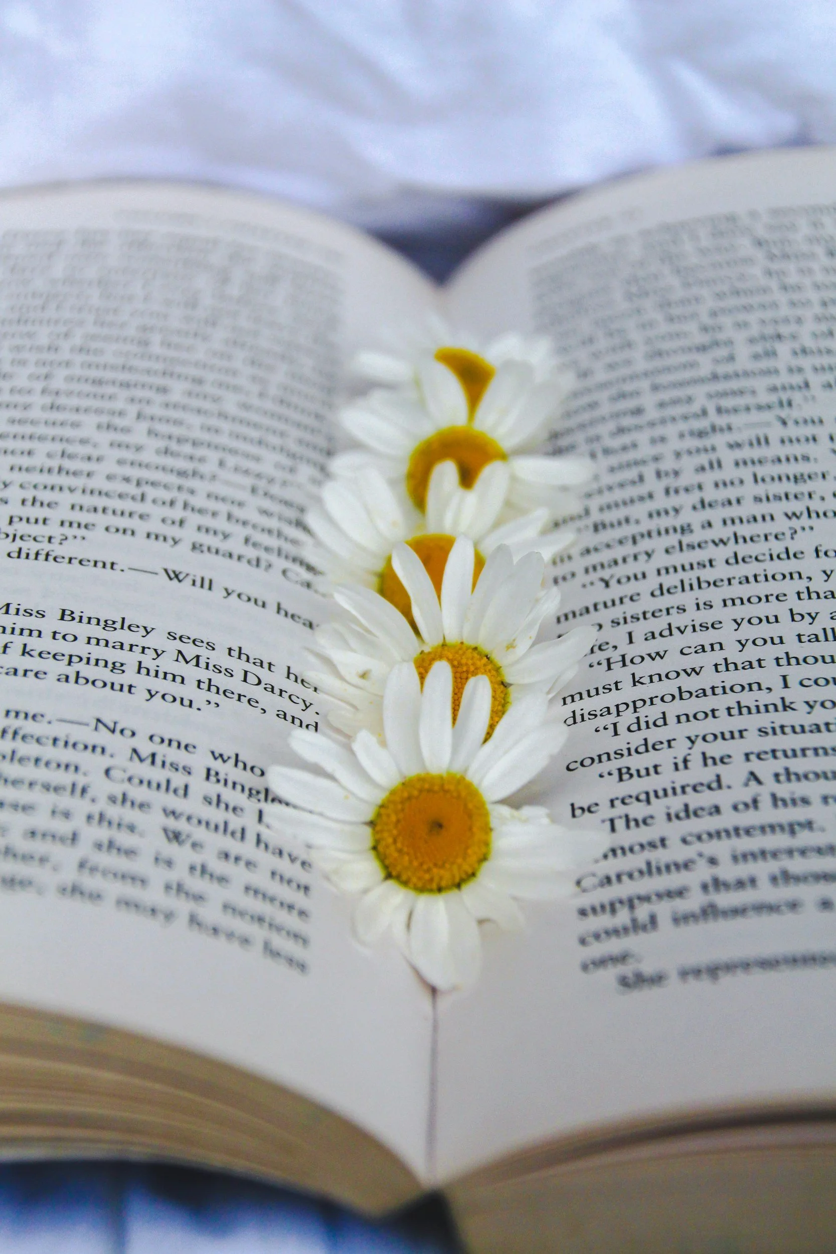 An open book with a stem of five white daisies with yellow centers laid across the pages.