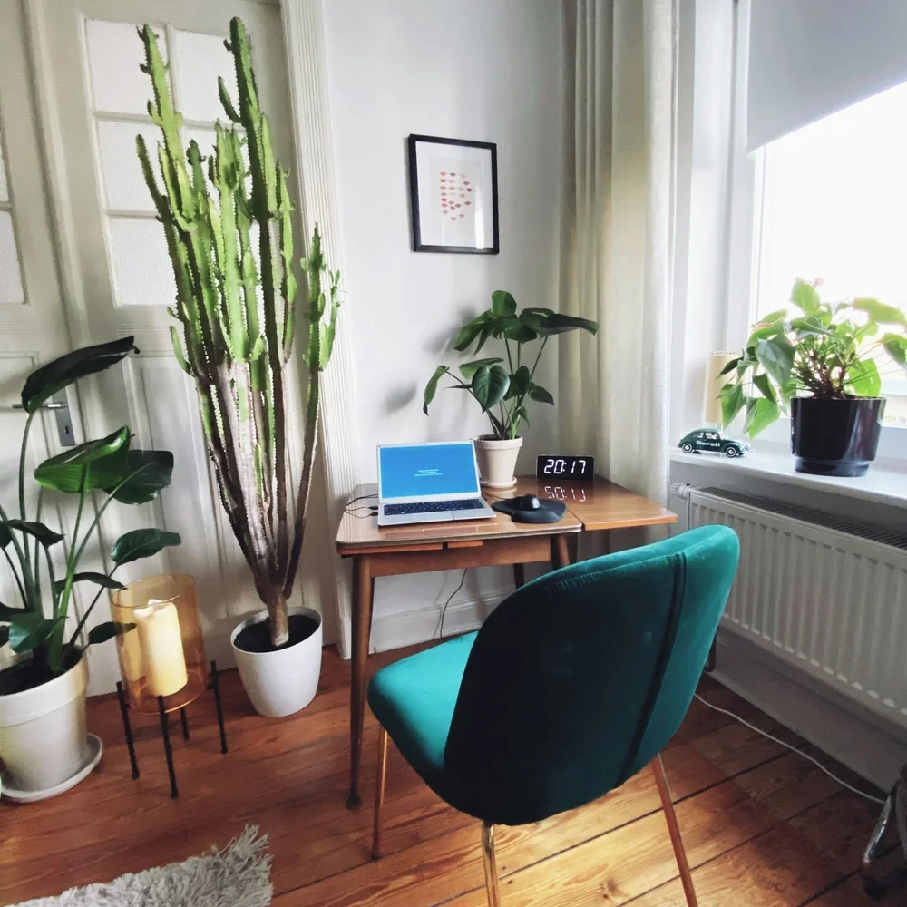 Comfortable home office with a cozy chair, plants and a laptop for online LGBTQIA+ affirming therapy across Texas.