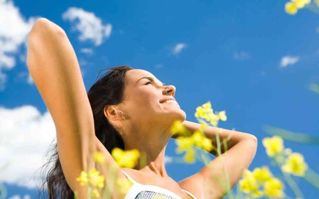 The Powerful Health Benefits of Turkey Tail Mushrooms