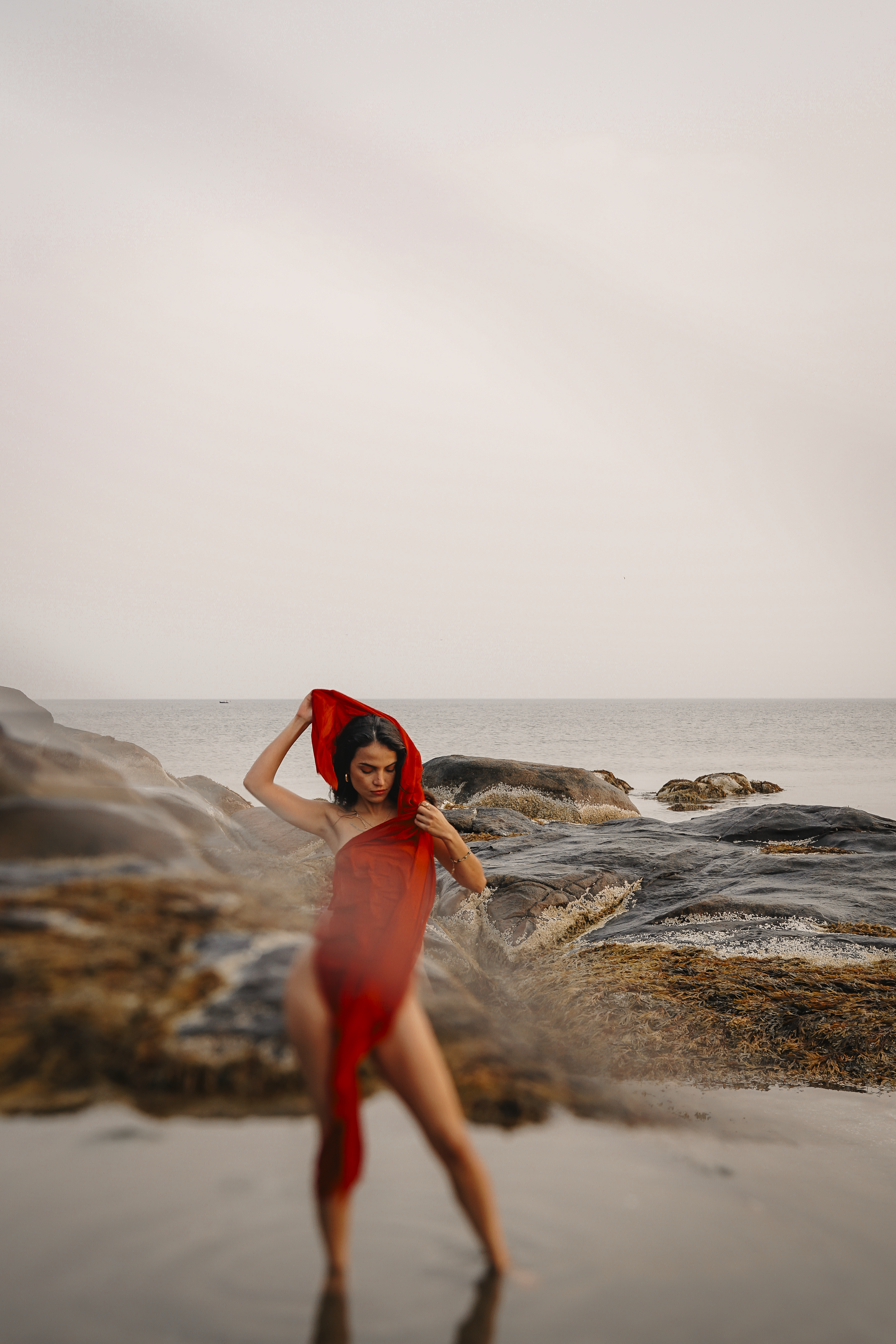 _DSC6572.png