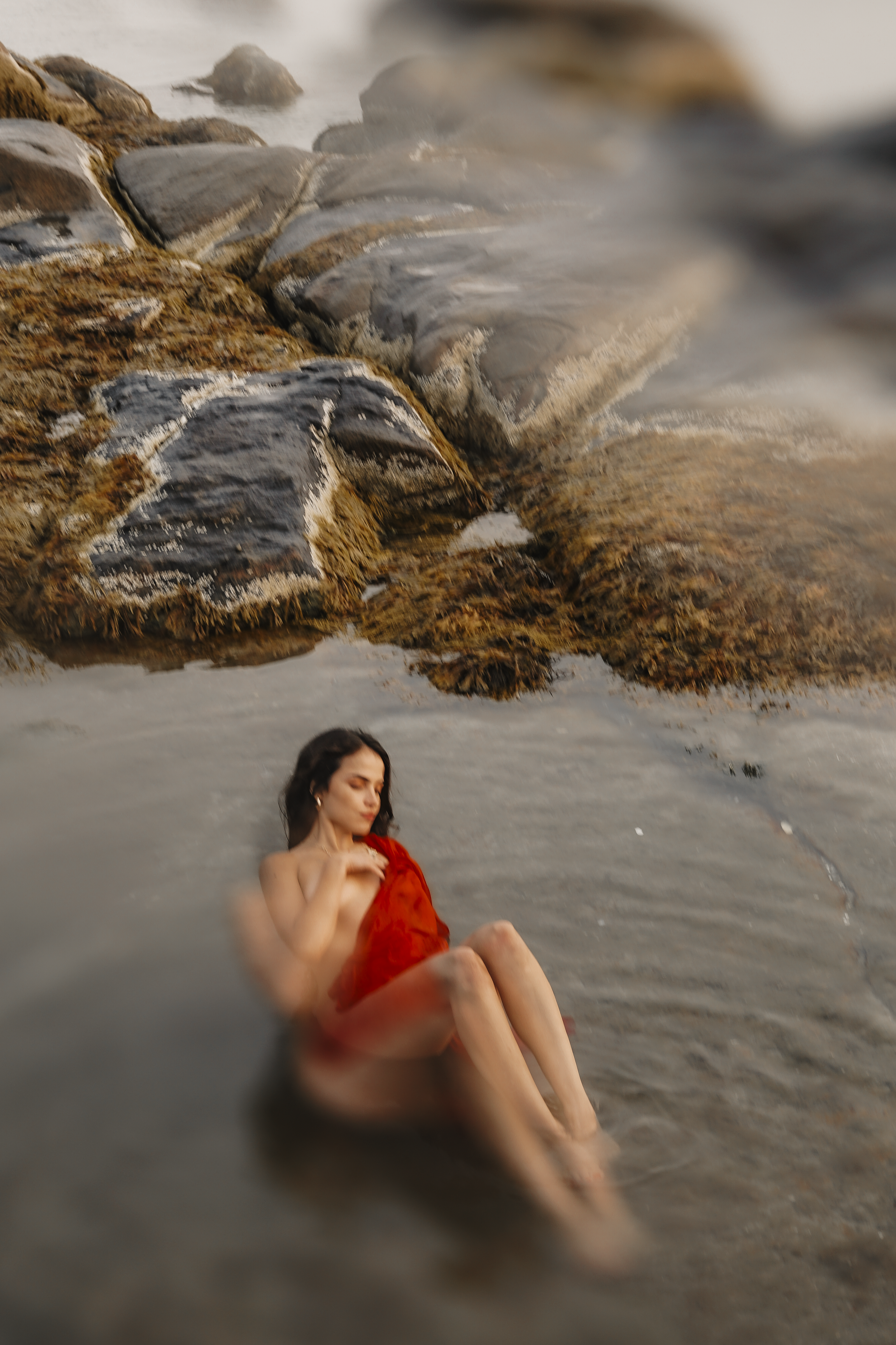 _DSC6530.png