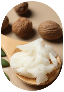 Close-up of a wooden spoon with coconut oil on it, with whole nutmegs in the background.