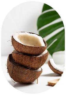 Three halved coconuts stacked on top of each other with green leaves in the background