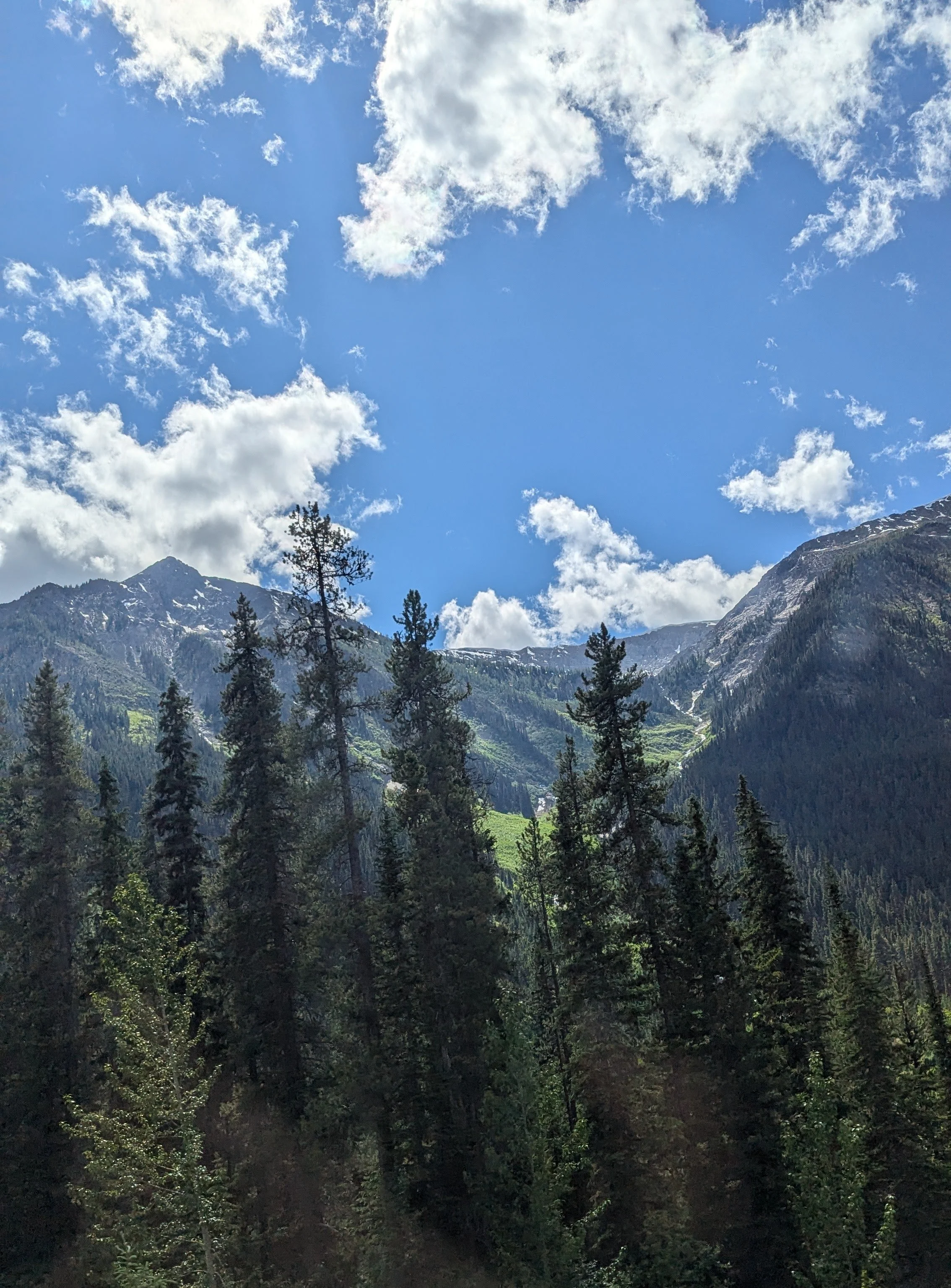 Lucy Quach Counselling & Psychotherapy - photo of trees and mountains on a sunny day portrait