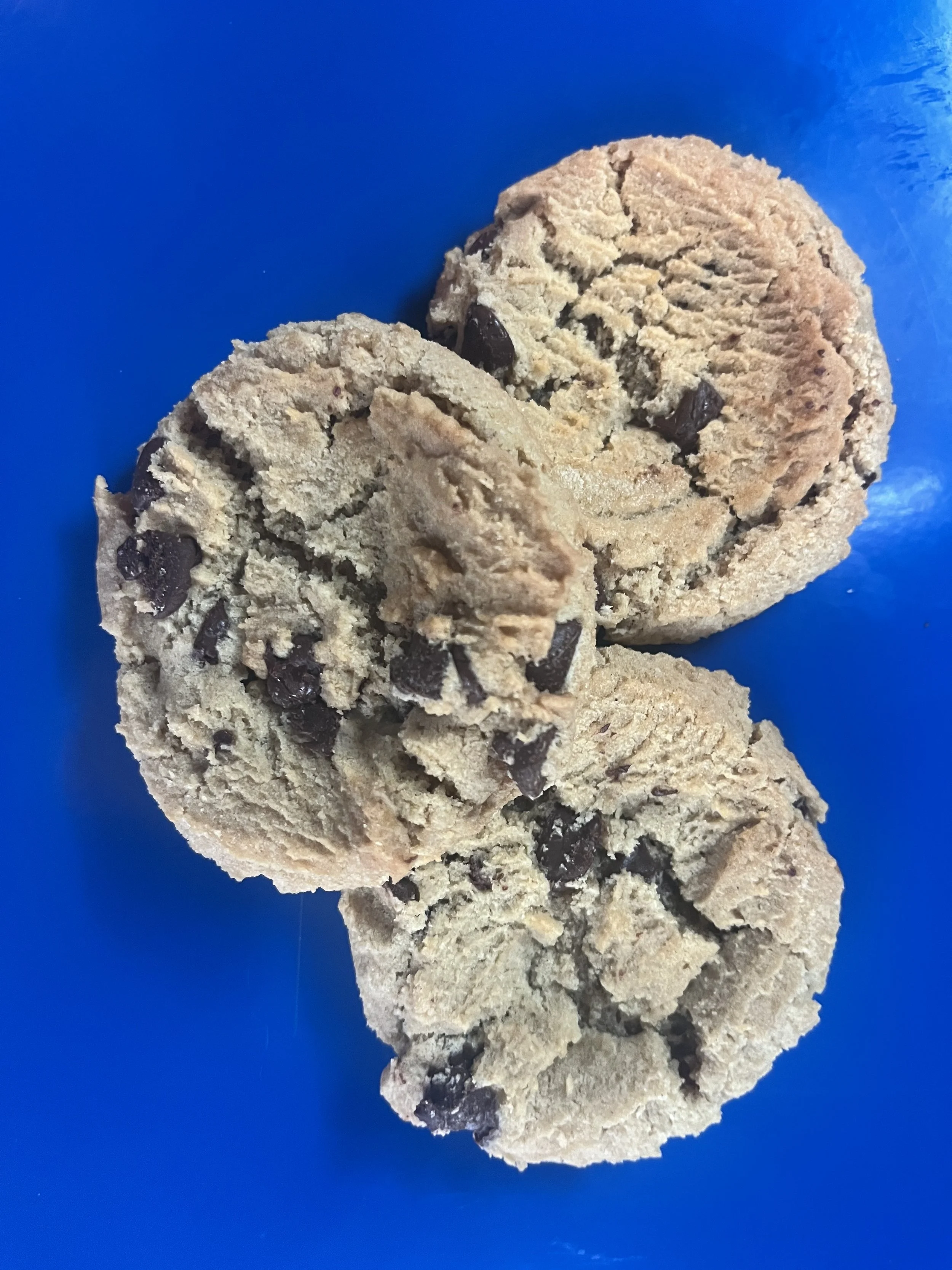 Chocolate Chip