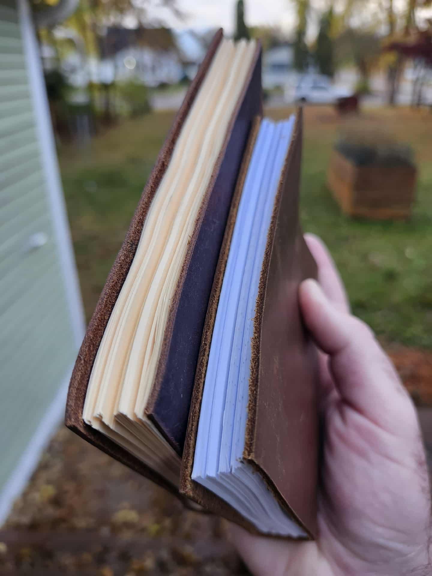 7c5072eb-b0a7-47d5-8740-2d5a9fc73088.jfif