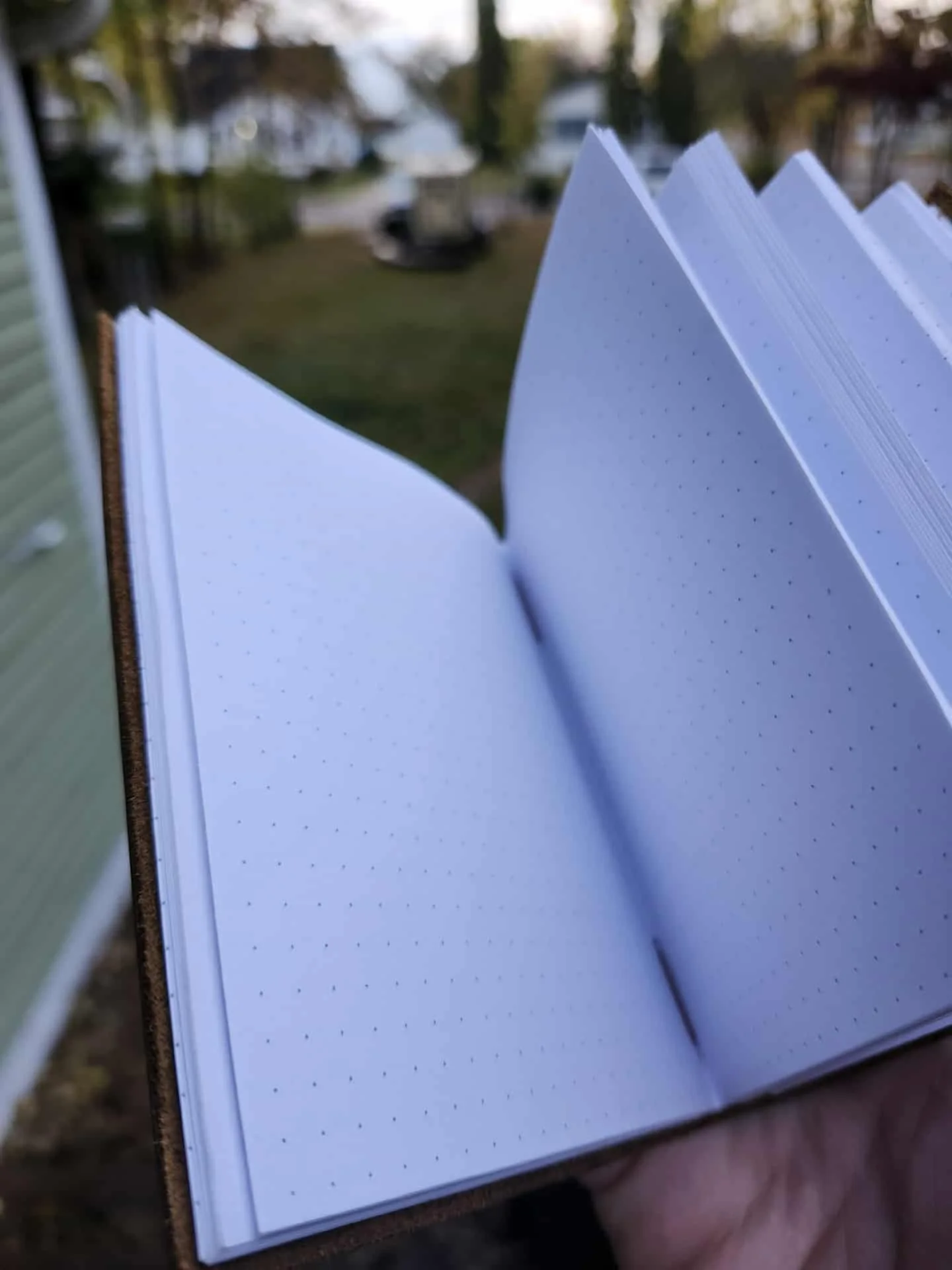 2999b7f5-4412-409c-91c2-0539f519266a.jfif