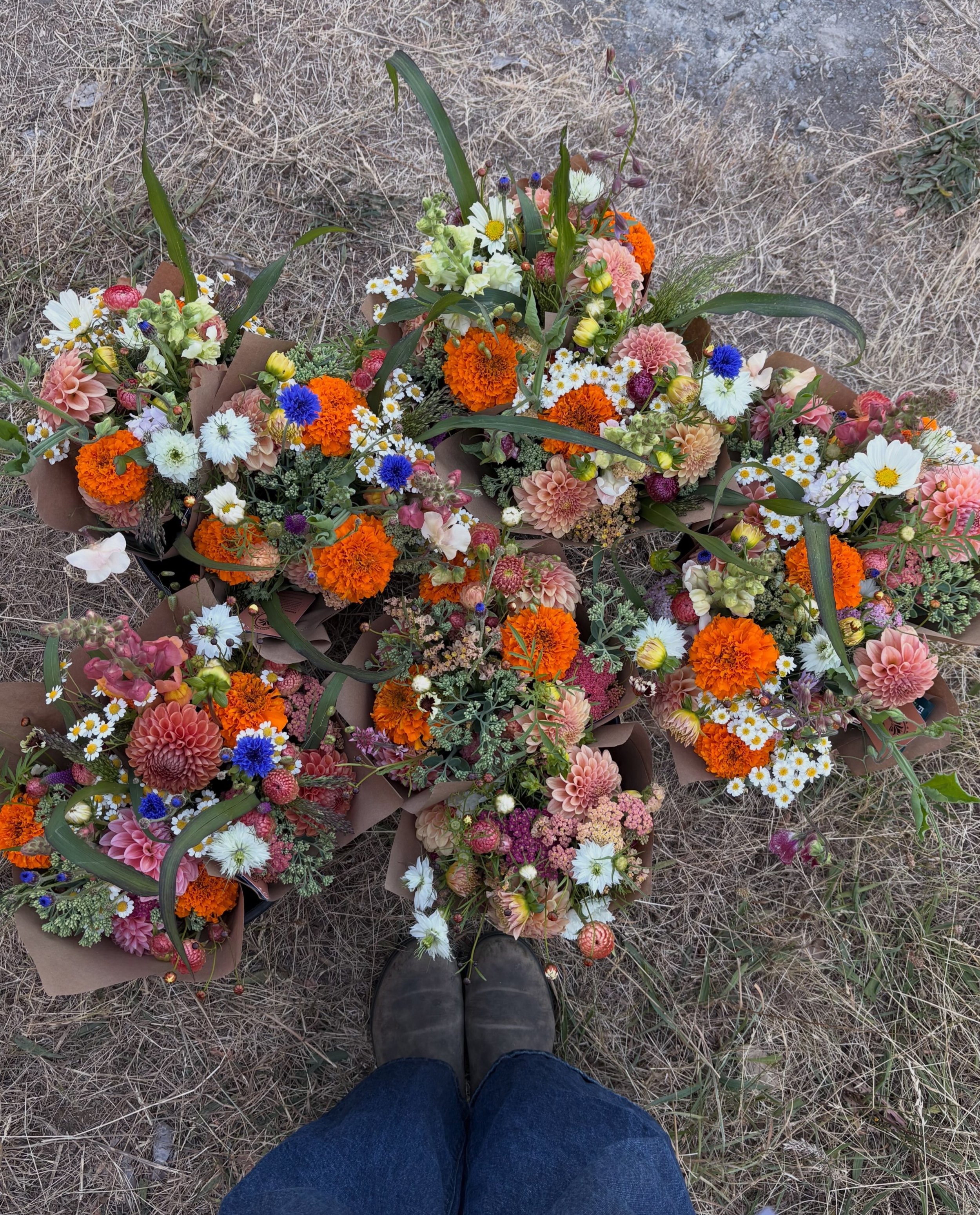 🌸 Honeywild Farm Flower CSA starts today 🌸

Week 1 is officially here, and I&rsquo;m so excited to finally start sharing flowers with all of our CSA members. After months of seed starting, planting, weeding, and waiting, the first subscription bouq