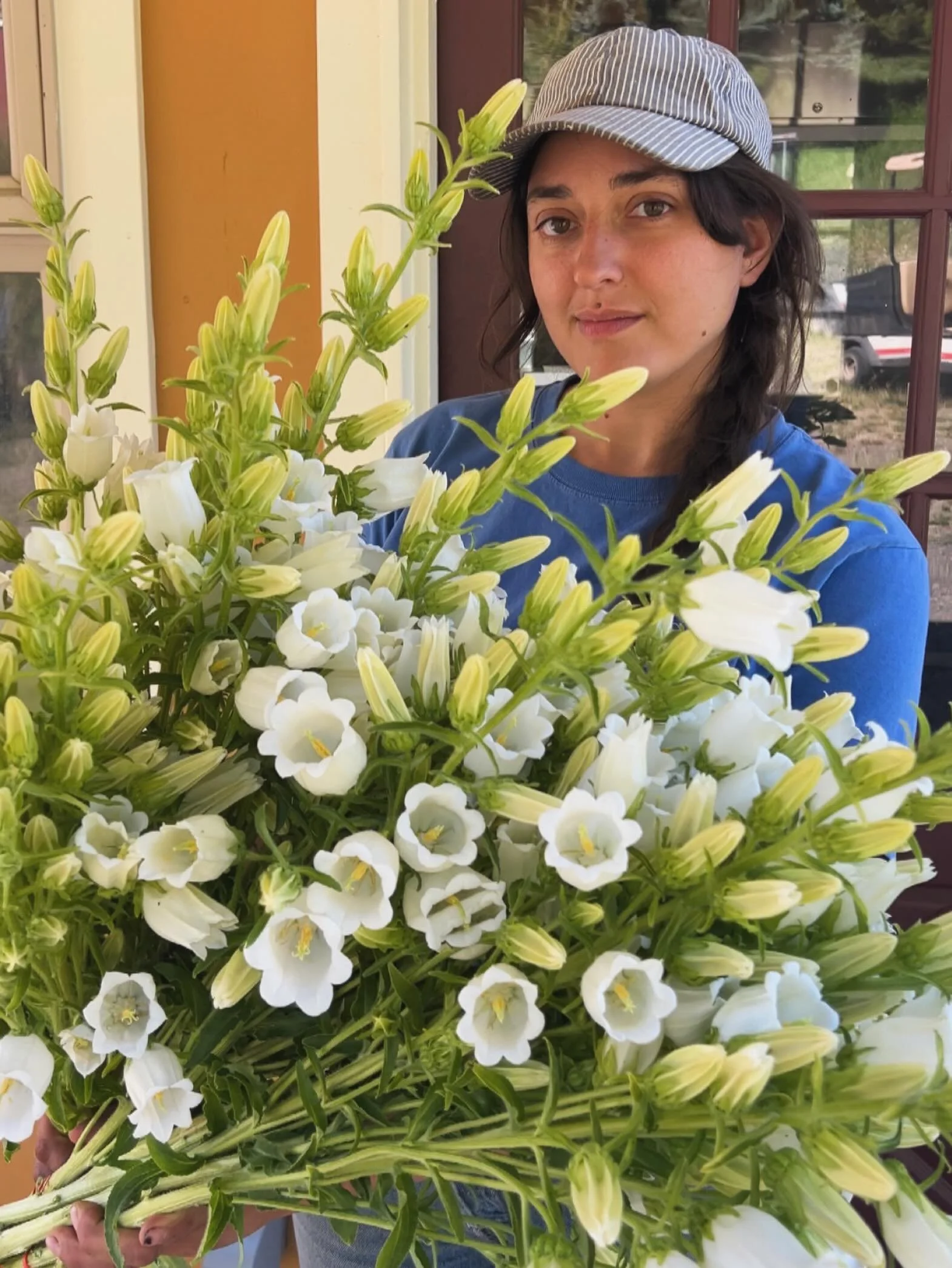A giant armful of Canterbury bells from Space Lotus. 

I&rsquo;ve been tucking these into my bouquets this week and last and honestly wish their season lasted forever. They&rsquo;re probably the flower I get asked about most&mdash;&ldquo;What are the
