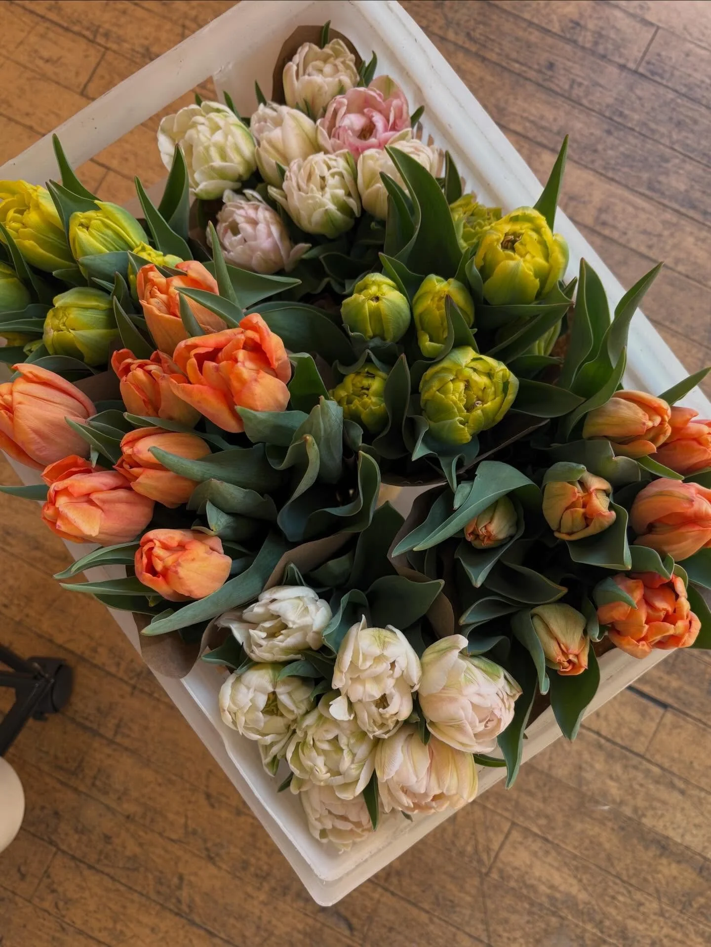 Tulips are here!! 🌷
The stand is stocked at Cafe Tenby in downtown Port Townsend&mdash;go treat yourself to a bouquet (and maybe a coffee while you&rsquo;re at it ☕️)