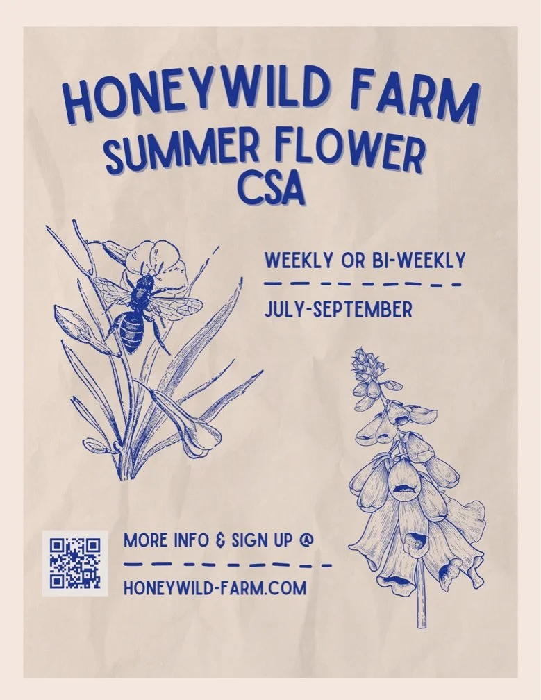 Hi friends,

I&rsquo;m starting a flower farm this year&mdash;Honeywild Farm!

This summer, I&rsquo;m offering a CSA flower subscription from July through September. Members will receive one bouquet of flowers picked at their peak bloom, either weekl