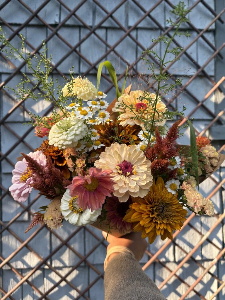 Summer CSA - Full Share (12 weeks)