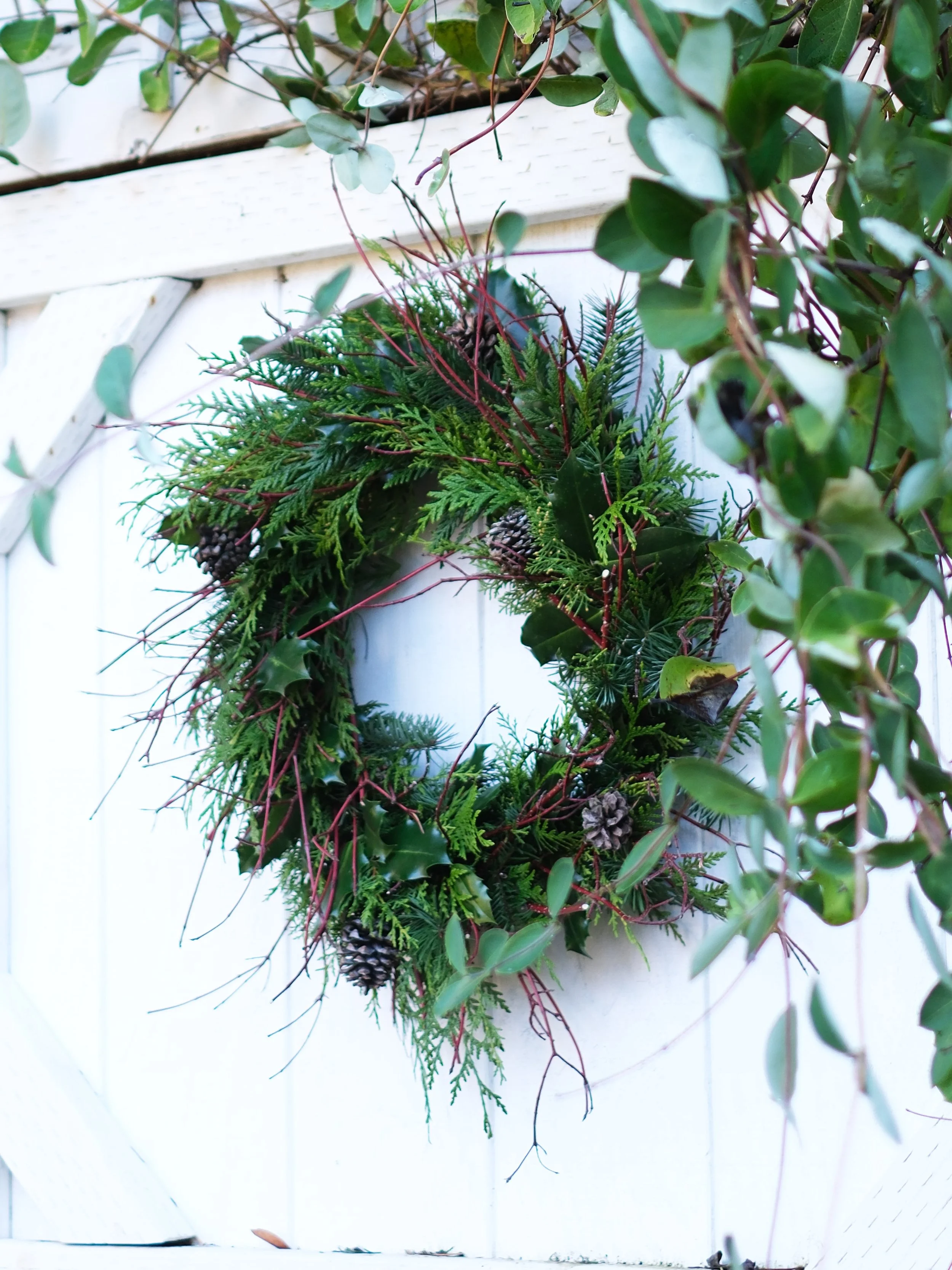 thicket side small.jpg