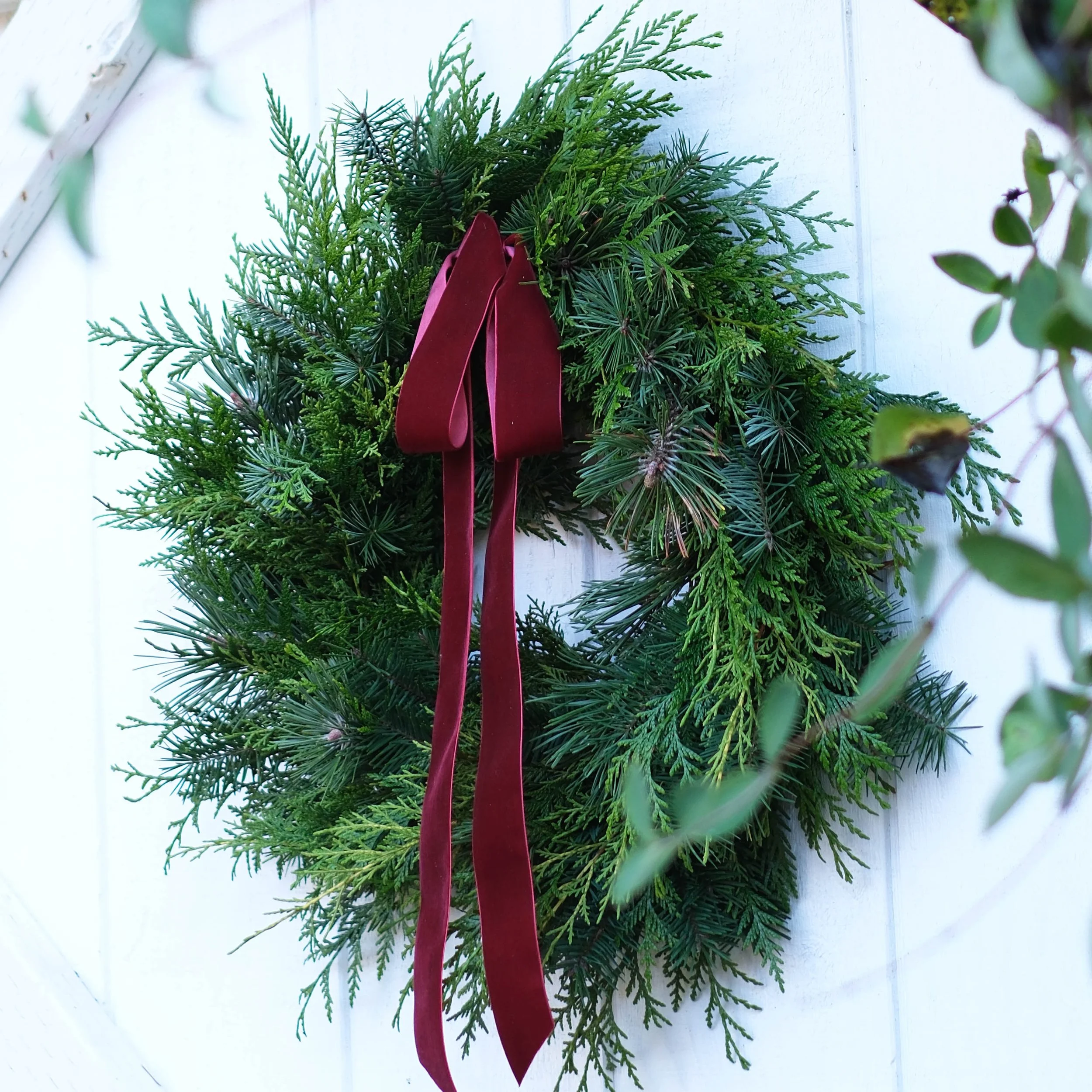 Woodland glen 12.jpg