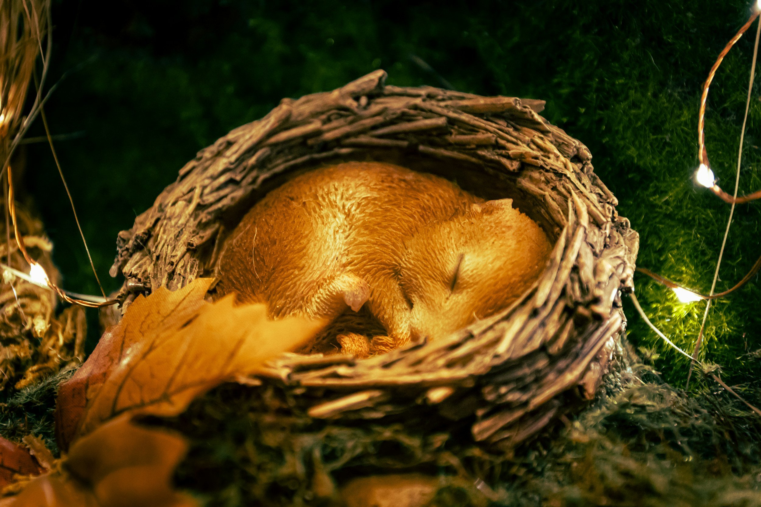 Hibernating