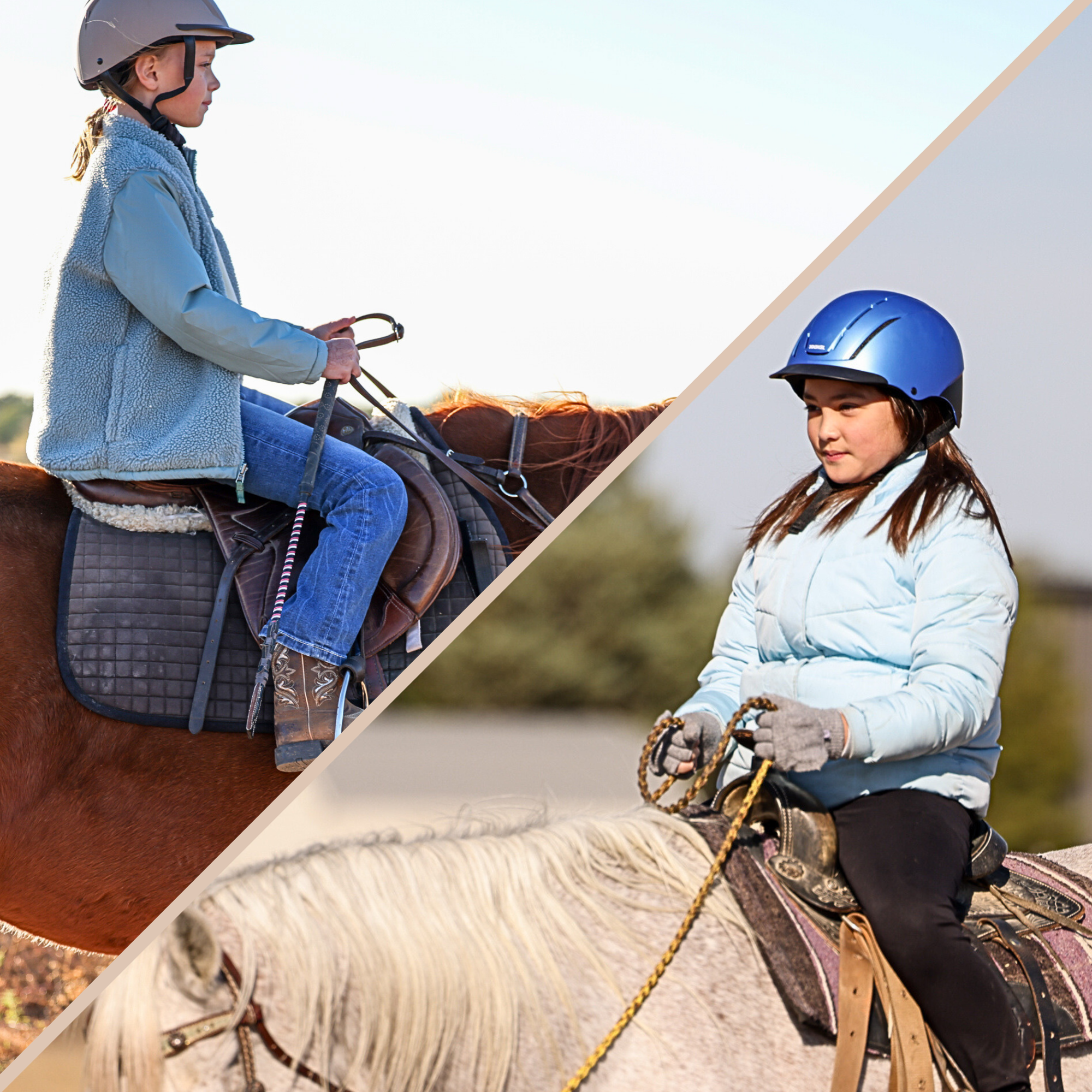 DJ Equestrian | Riding Lessons and Training in Canyon/Amarillo