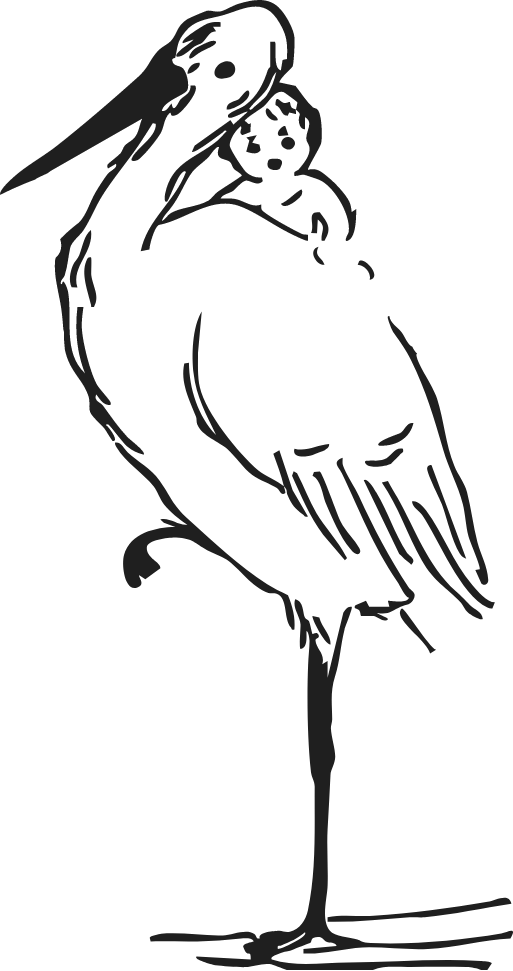 Outline drawing of a flamingo standing on one leg.