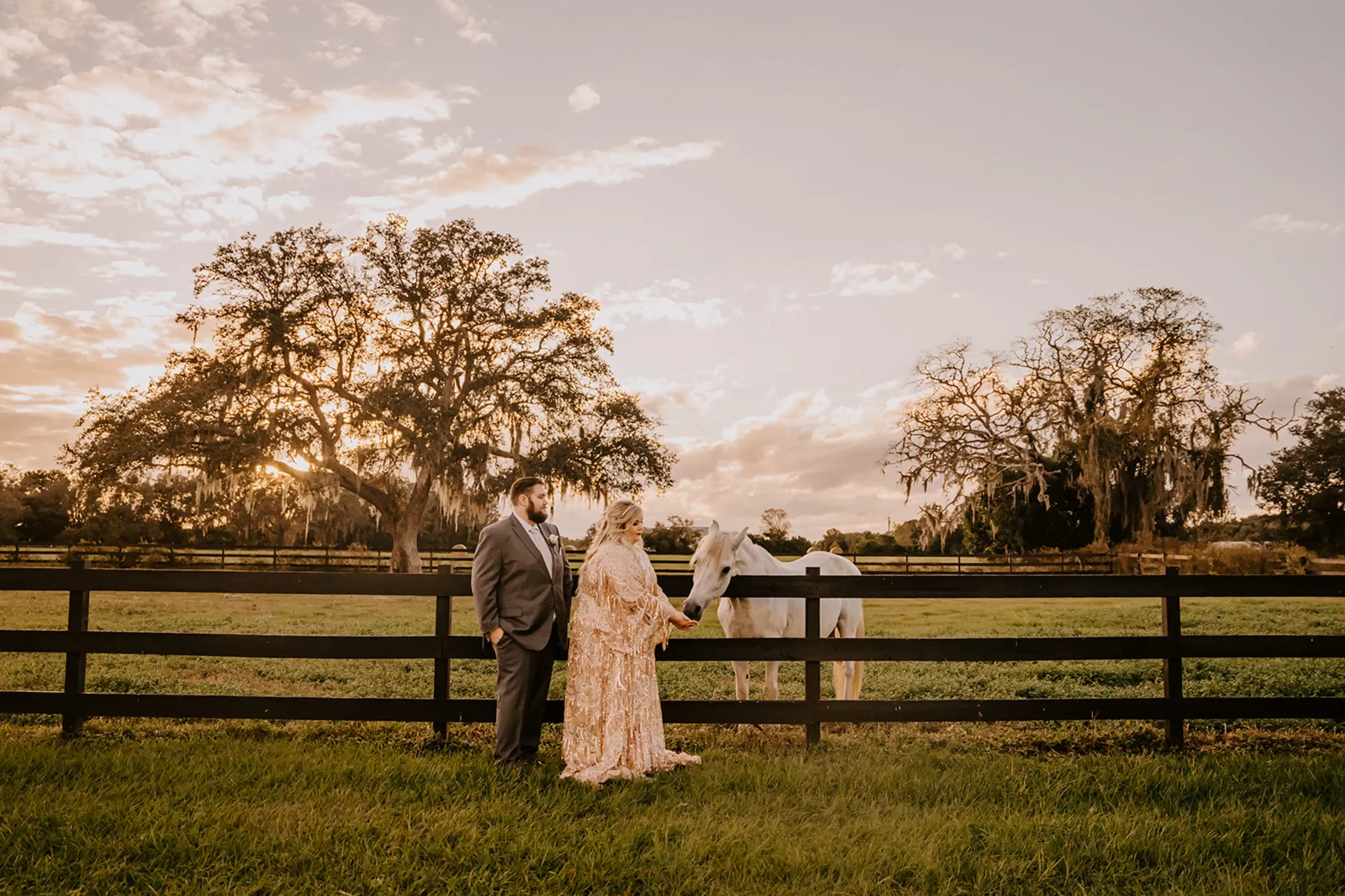 tampa wedding with couple bride in gold and champagne dress with white horse at legacy lane weddings