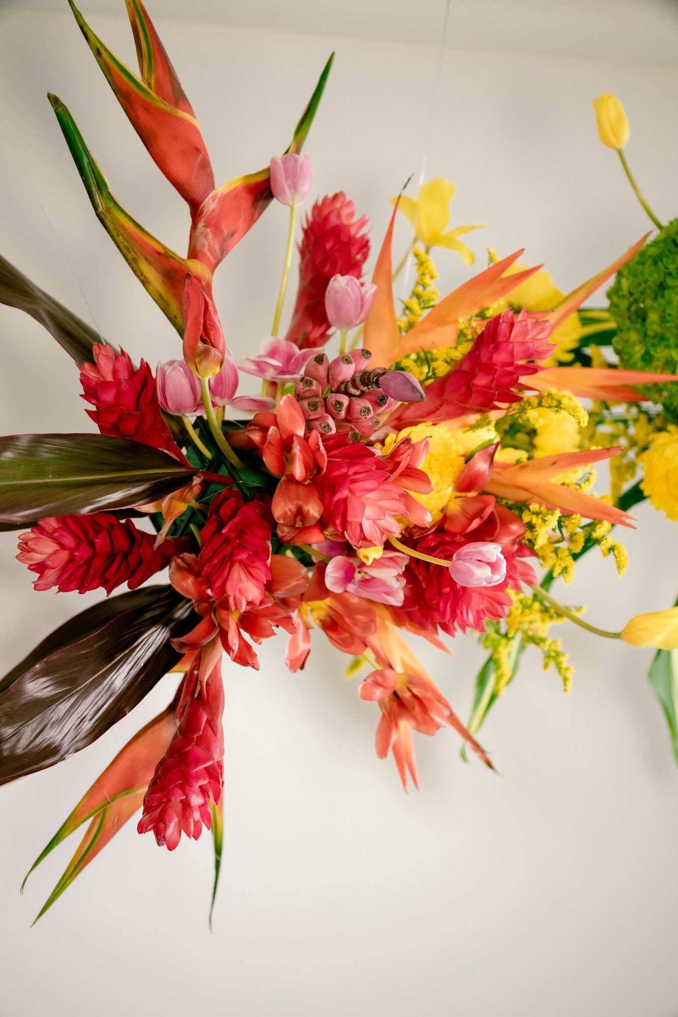 tampa-pride-mini-sessions-flowers-7.jpg