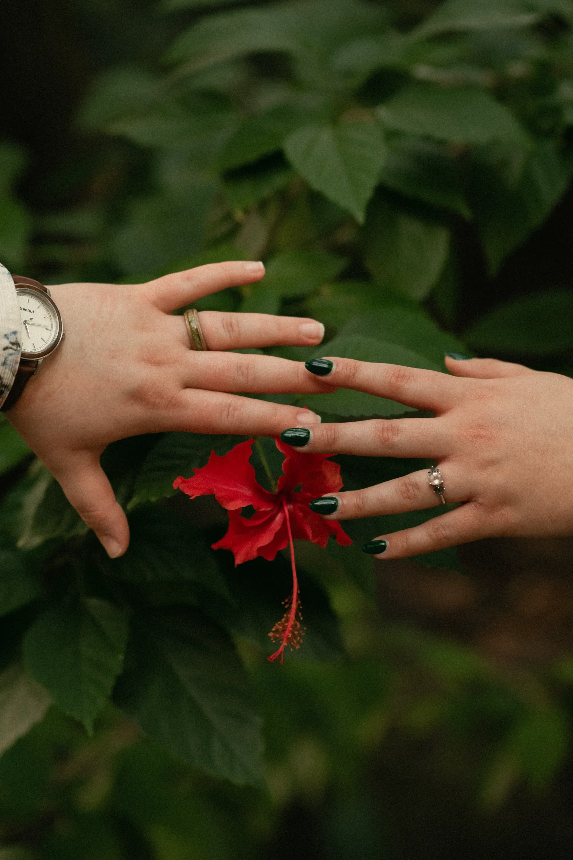 tampa-engagement-photographer-eureka-springs-lgbtq-114.webp