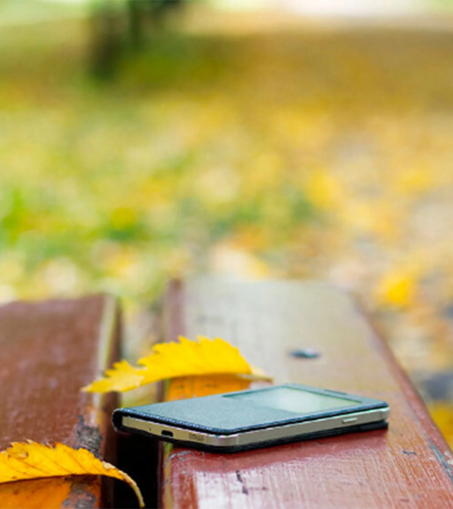 Smartphone on bench, contact us, caregiving support, federal contract, and home care