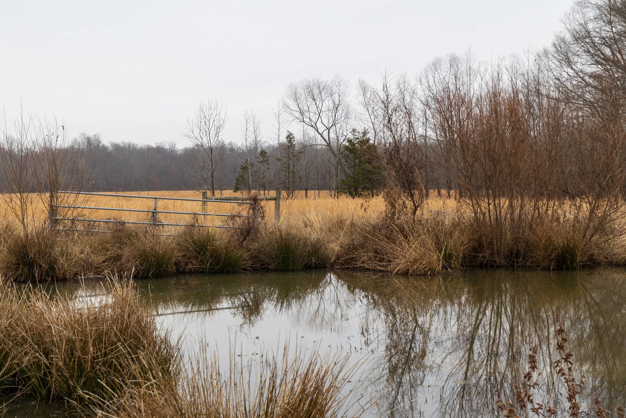 The Tennessee Land Buyer’s Checklist: Soil, Septic, Slope, Water, Access and Wildlife