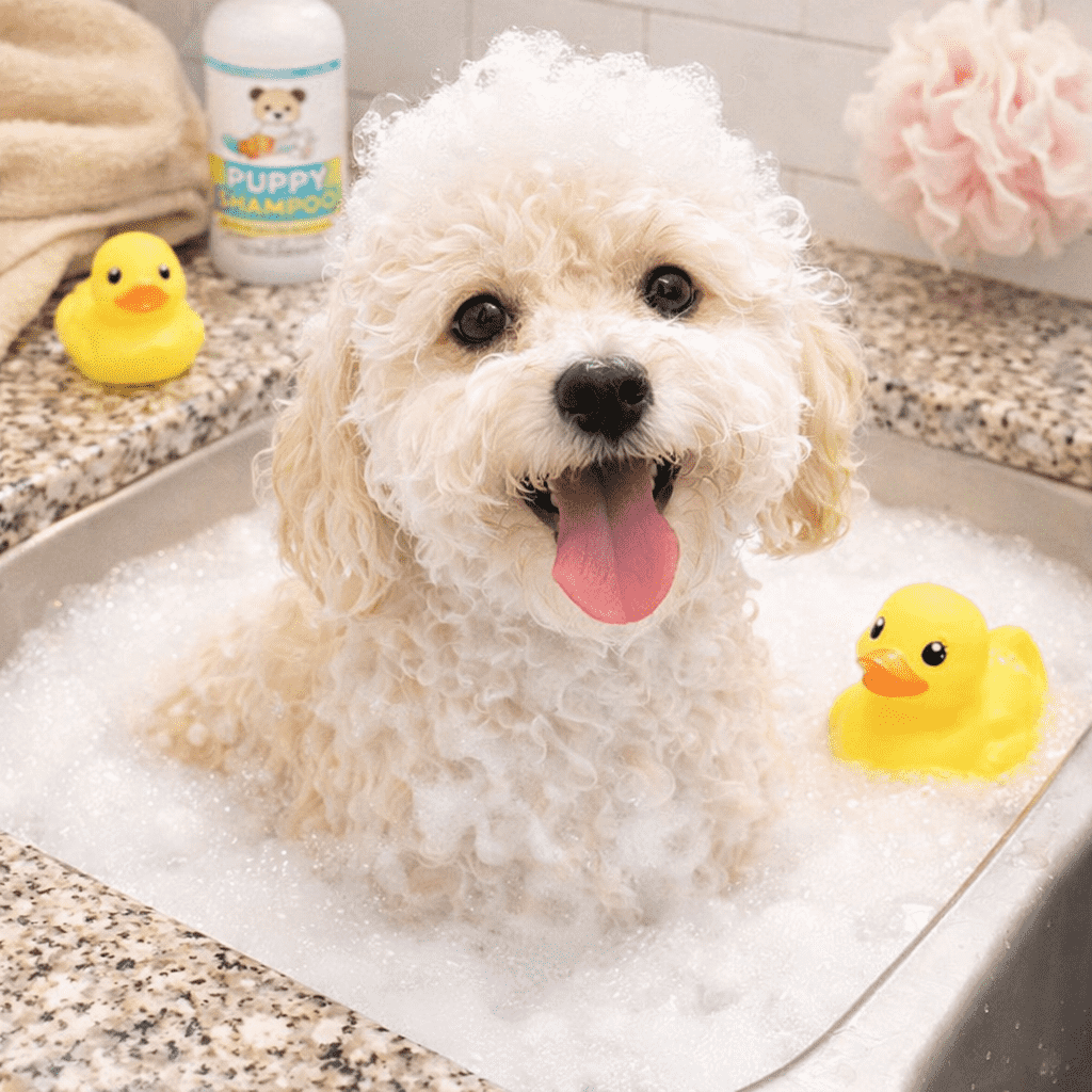 Dog taking a bath in a sink with soap bubbles, yellow rubber duckies, and bath products nearby.