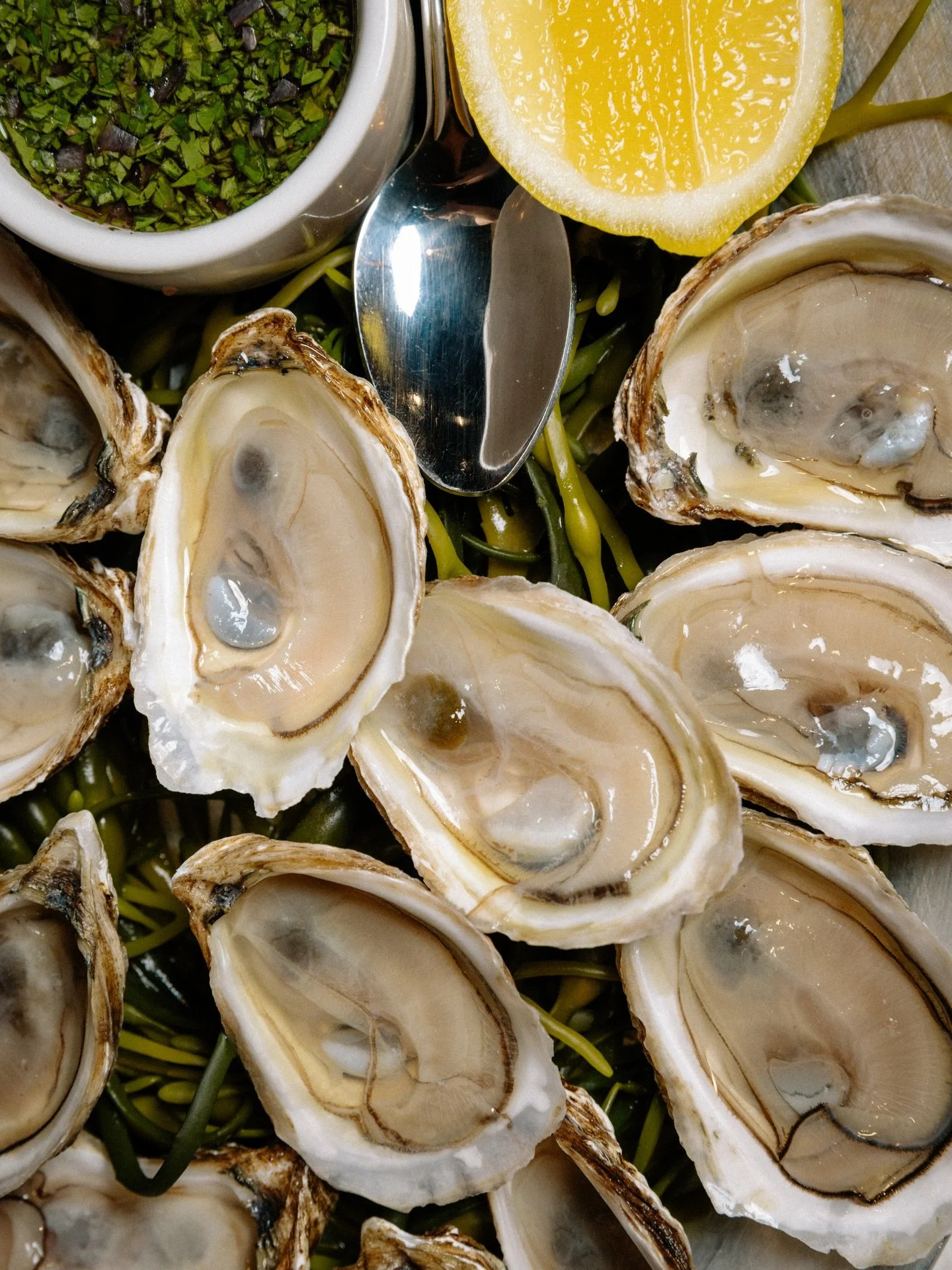 Monday night oysters are the best play 🦪