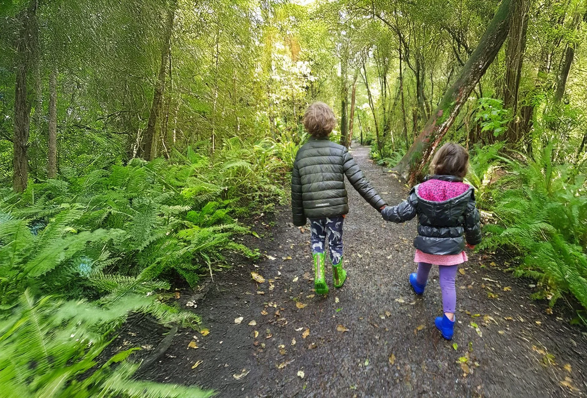 Te Whare Hou Invercargill Women's Refuge Fund