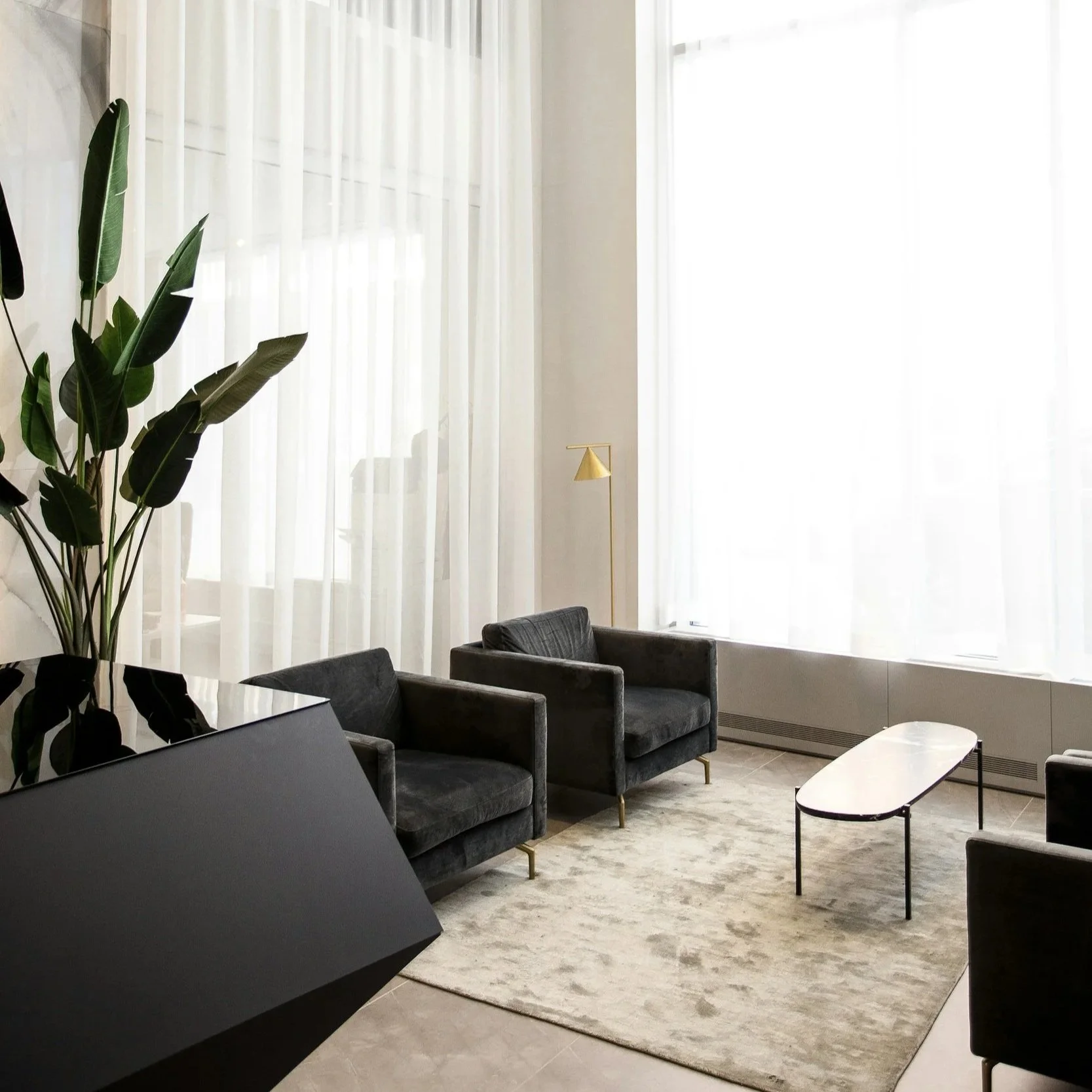 A modern living room with large windows covered by sheer white curtains, three black armchairs, a black side table, a gold floor lamp, a large green plant, and a light-colored area rug.
