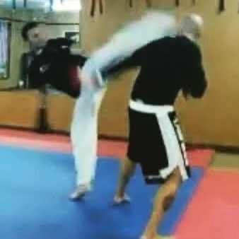 MMA 10.JPG
