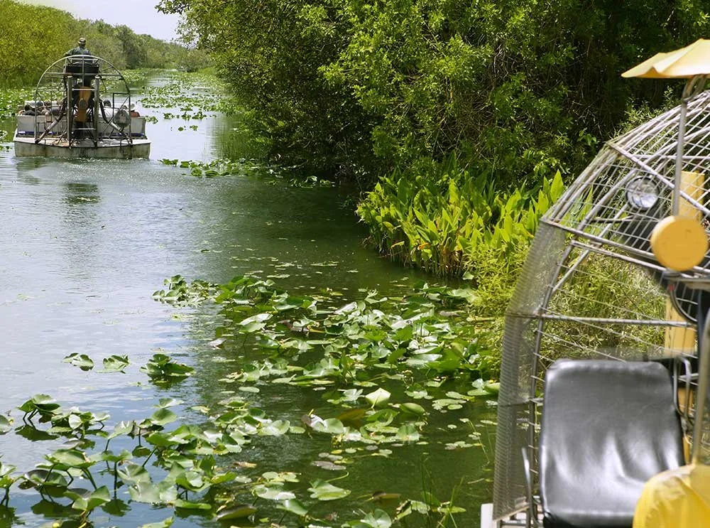 2-everglades-boat-tour.jpg