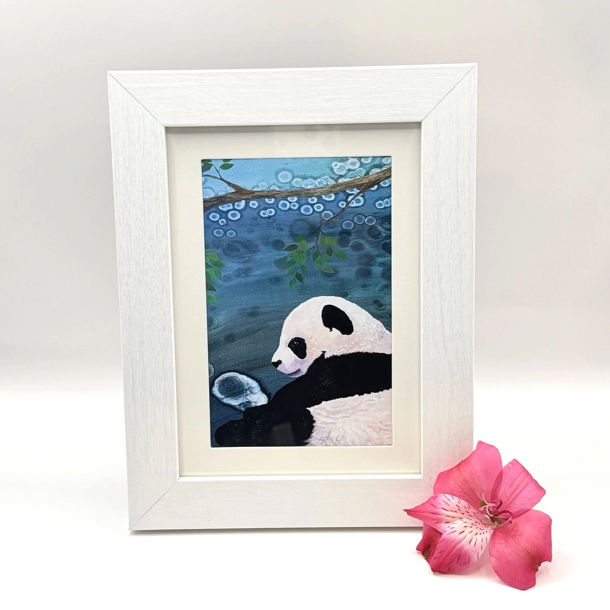 Panda - Framed Artwork | Amy Lee Designs