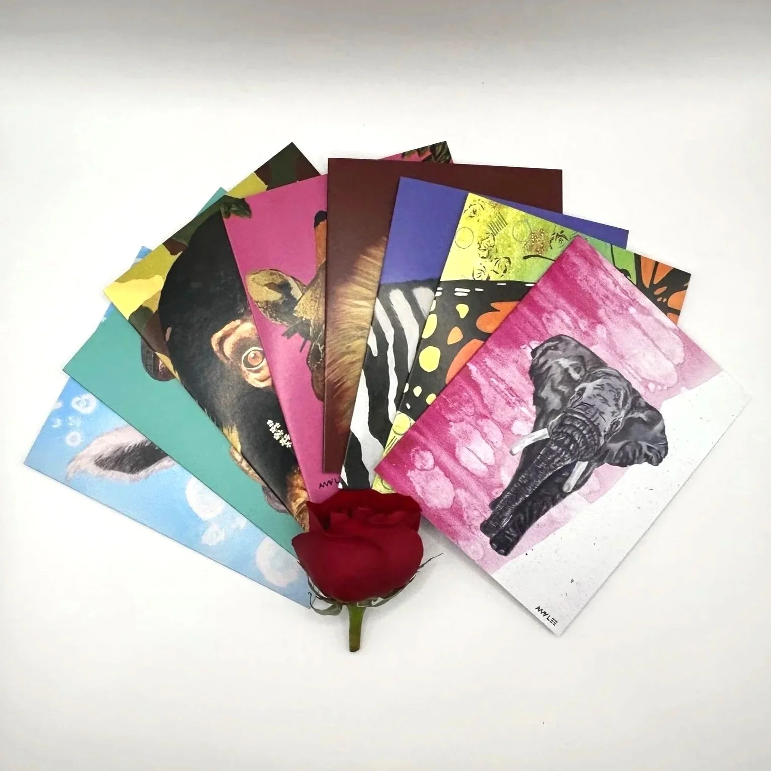 The Safari Bundle – Blank Safari Themed Notecard Set (8 Cards) | Amy Lee Designs