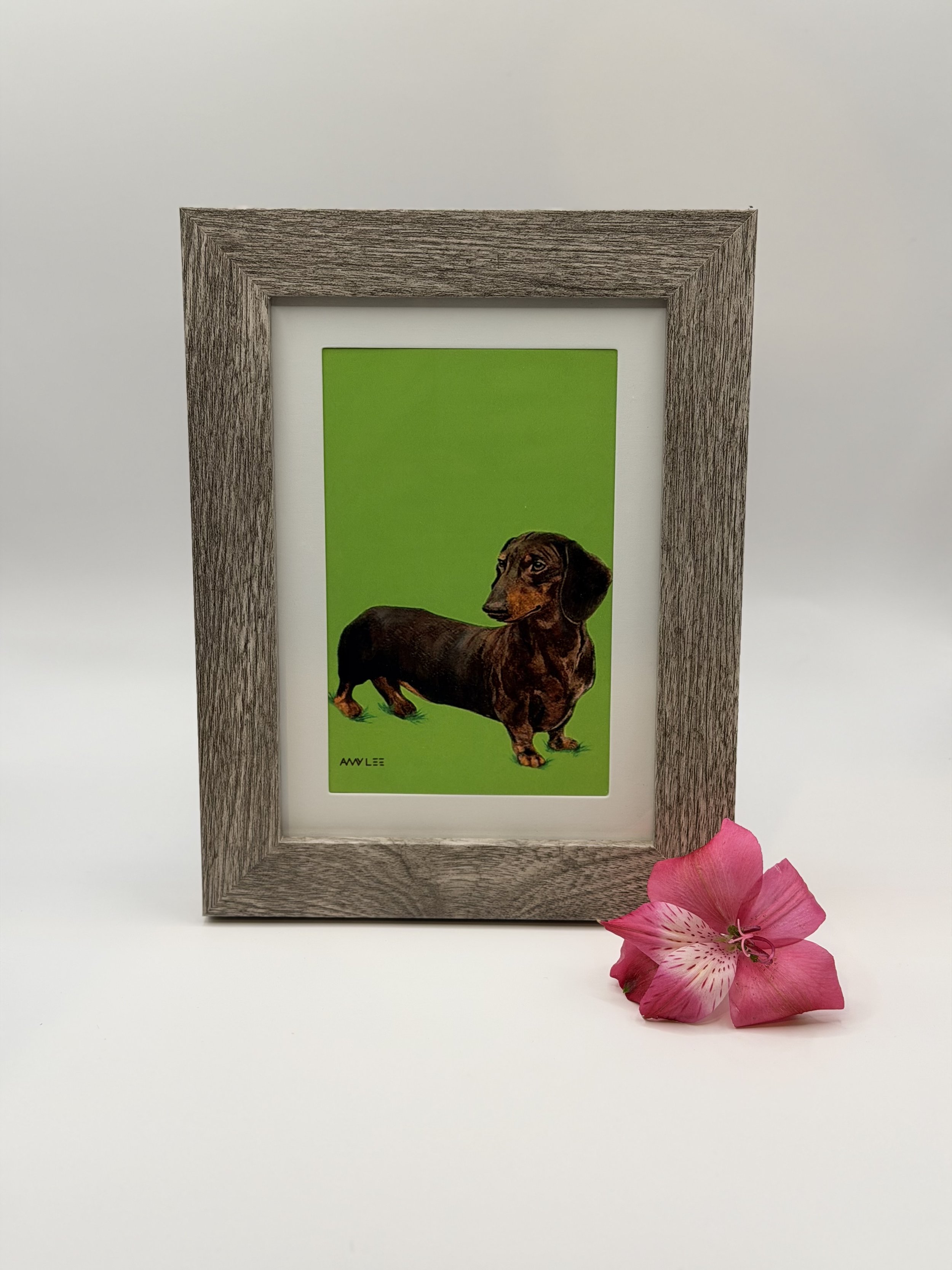 Dachshund Dog - Framed Artwork | Amy Lee Designs