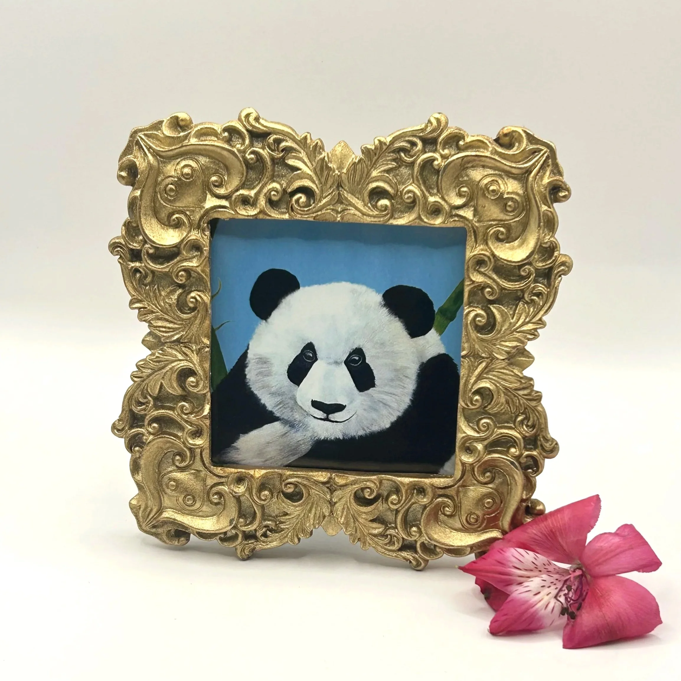 Panda - Framed Artwork | Amy Lee Designs