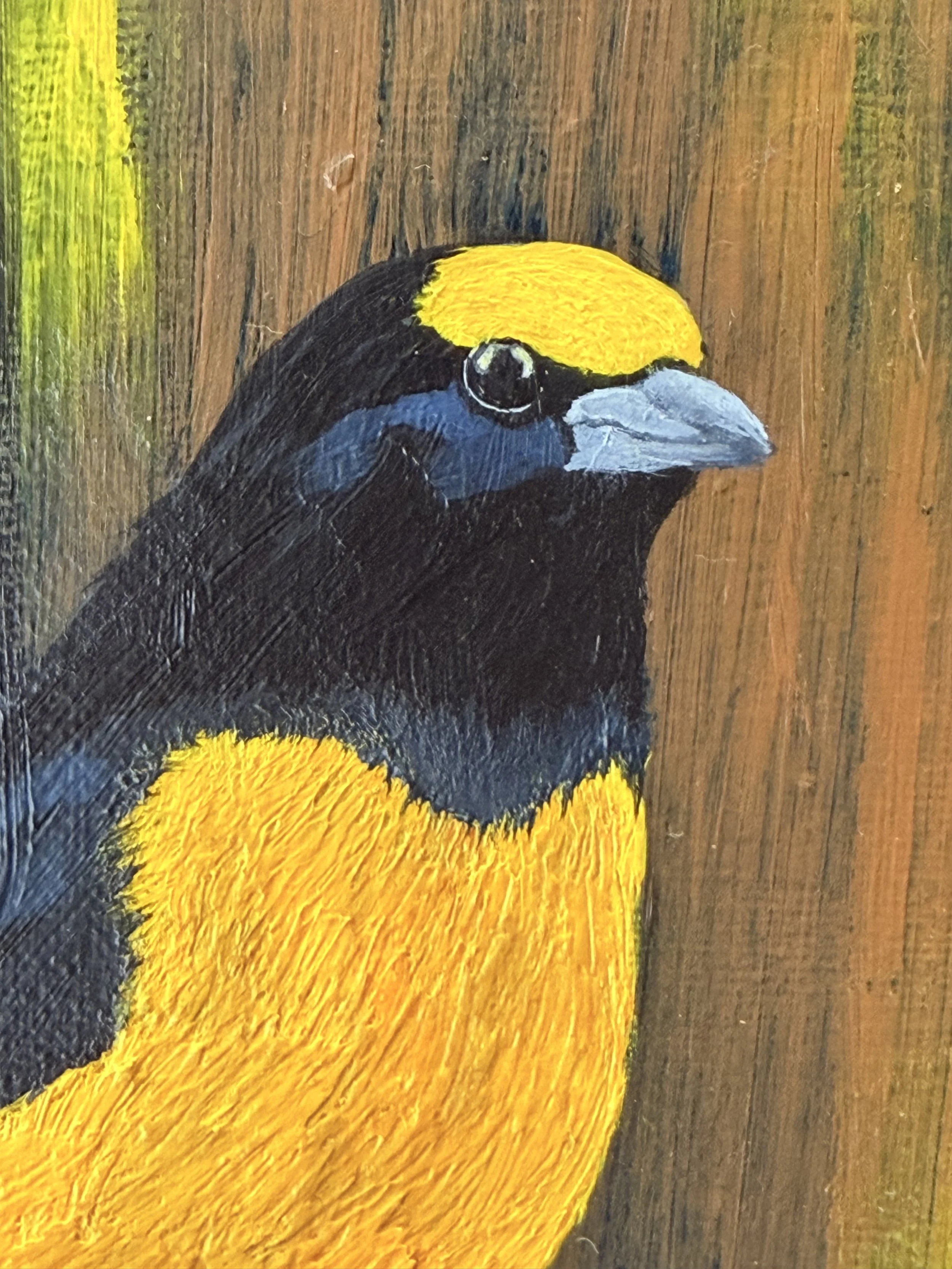 Close up of acrylic texture and brushwork on bird painting
