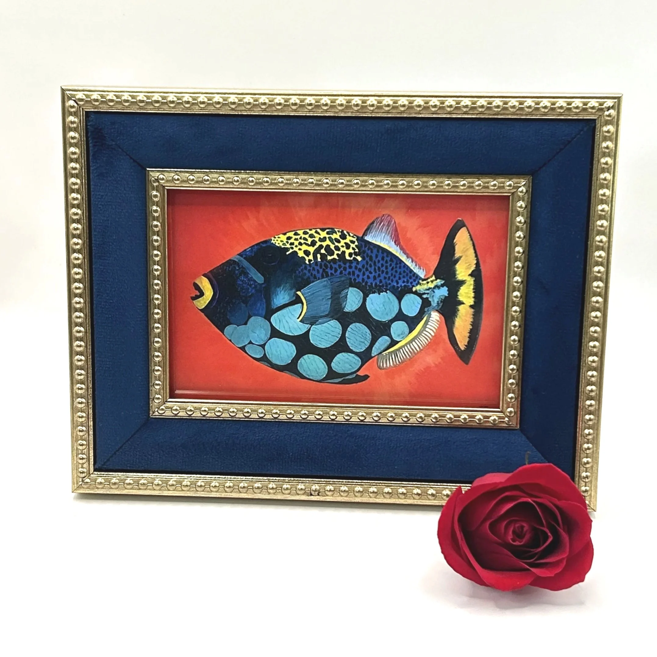 Rainbow Fish - Framed Artwork | Amy Lee Designs