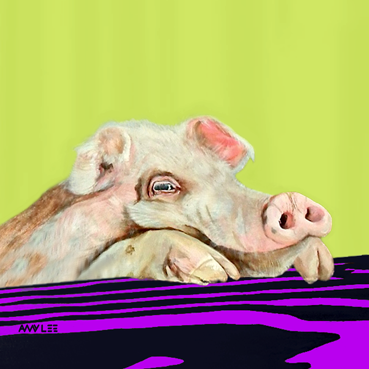 A pink pig lying down on a flat surface with purple and black horizontal stripes, resting its head on its front legs, against a lime green background.