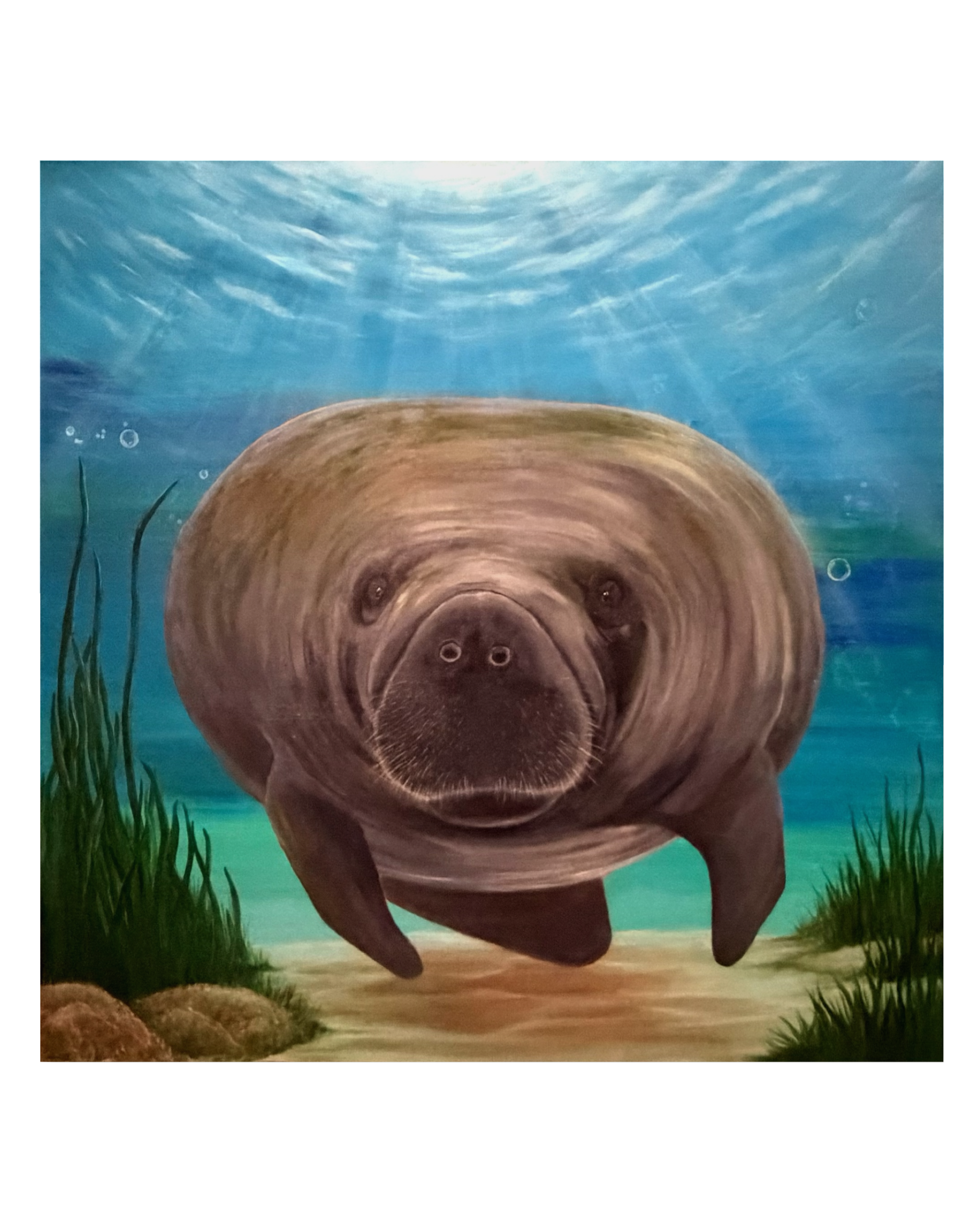 Original manatee painting 36x36 with blue ocean background coastal wall art serene marine life artwork