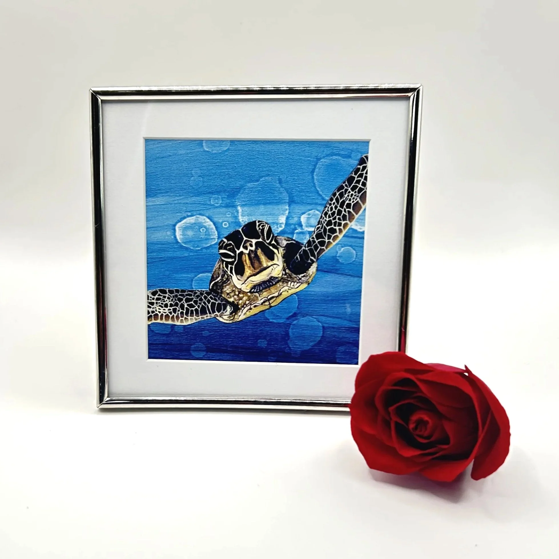 Sea Turtle - Framed Artwork | Amy Lee Designs