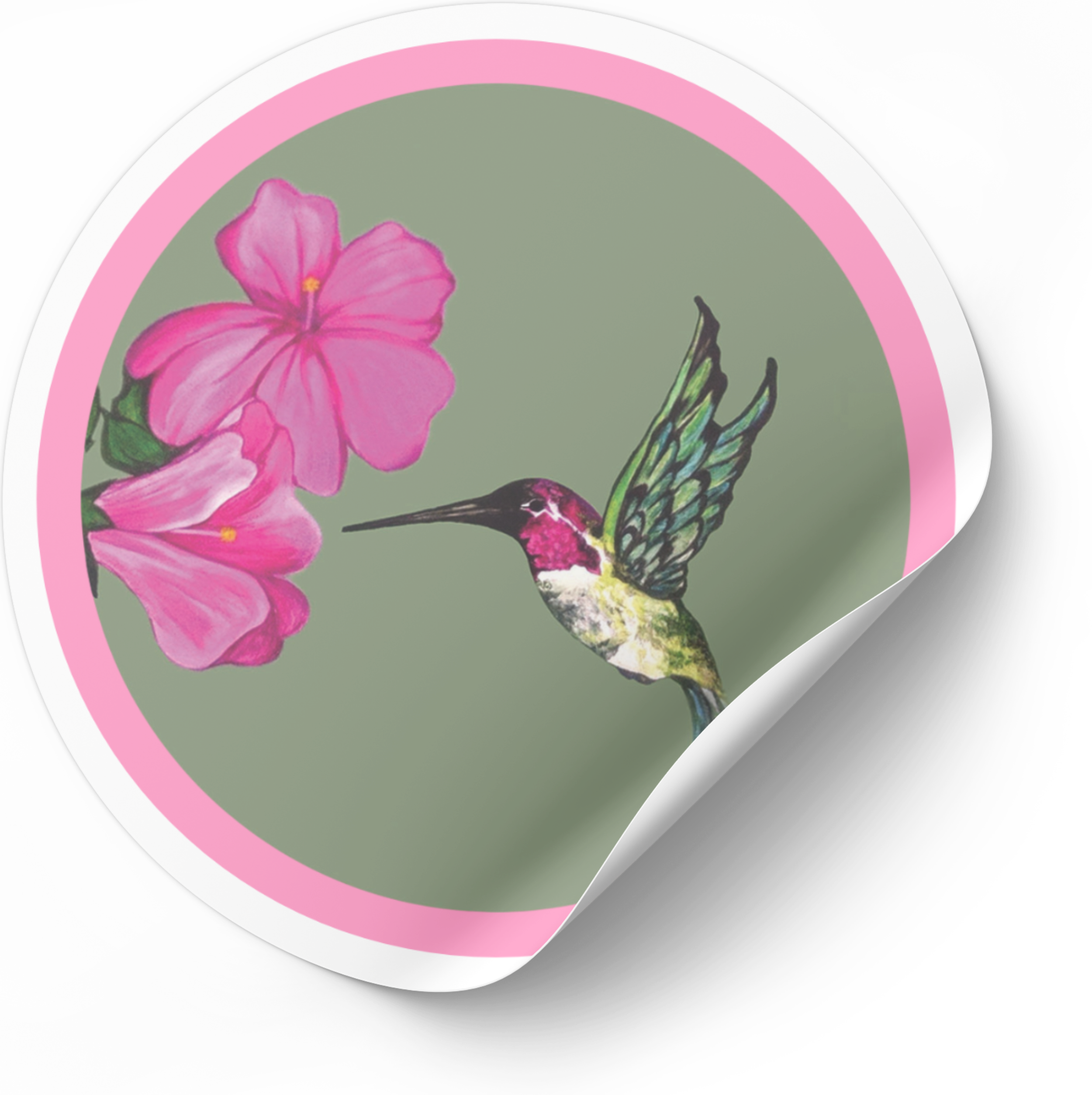 Hummingbird | 3" Animal Art Vinyl Sticker | Amy Lee Designs