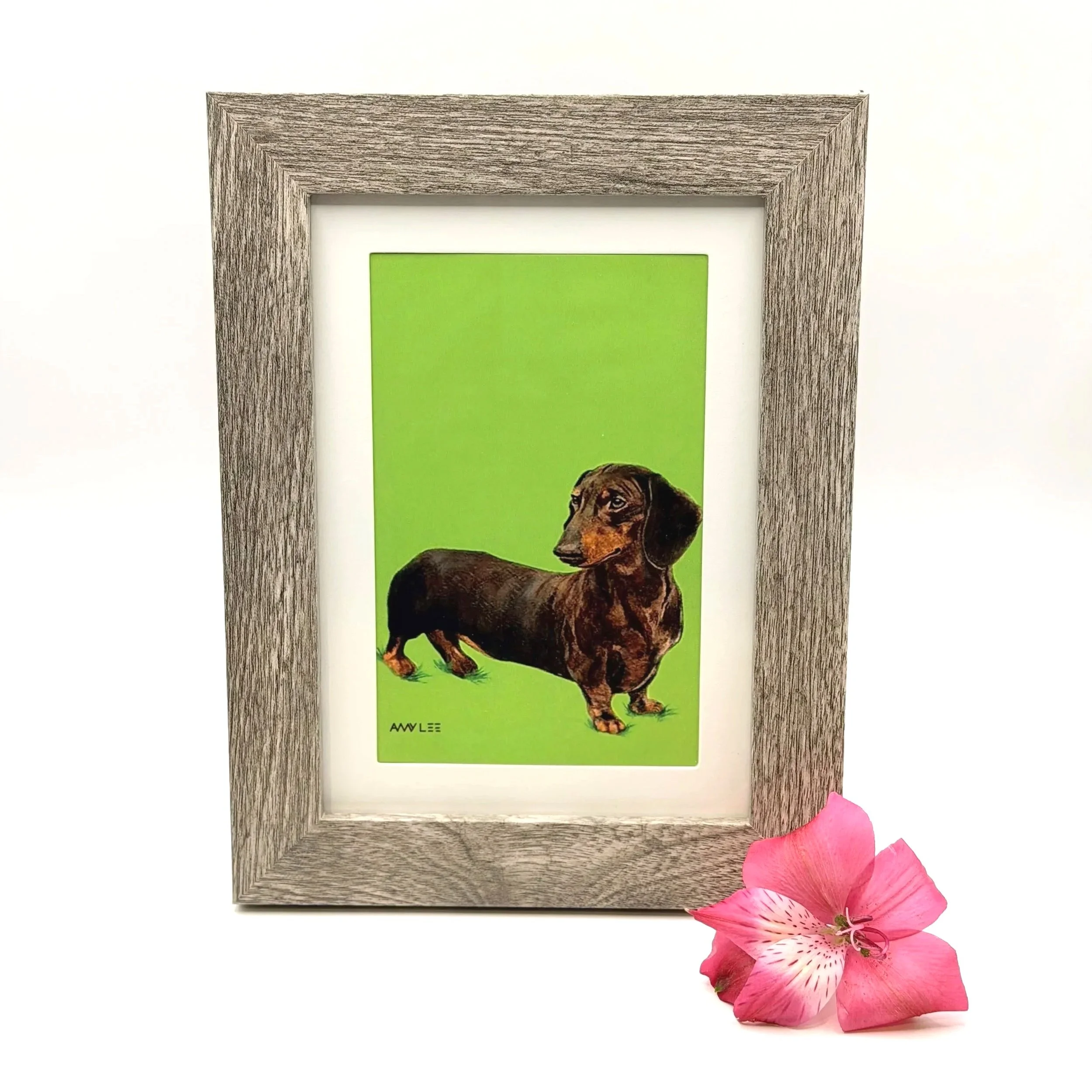 Dachshund Dog - Framed Artwork | Amy Lee Designs