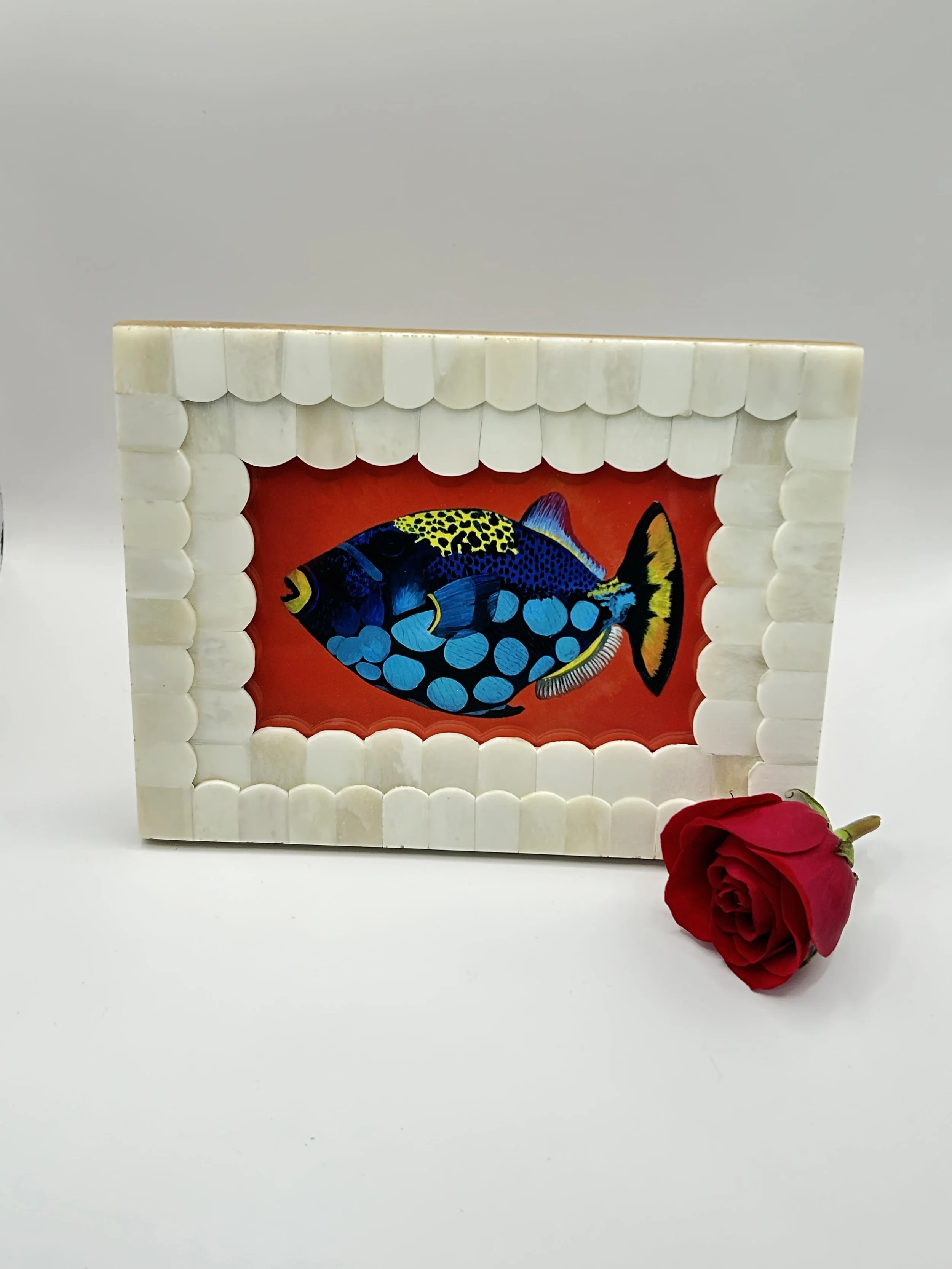 Rainbow Fish - Framed Artwork | Amy Lee Designs