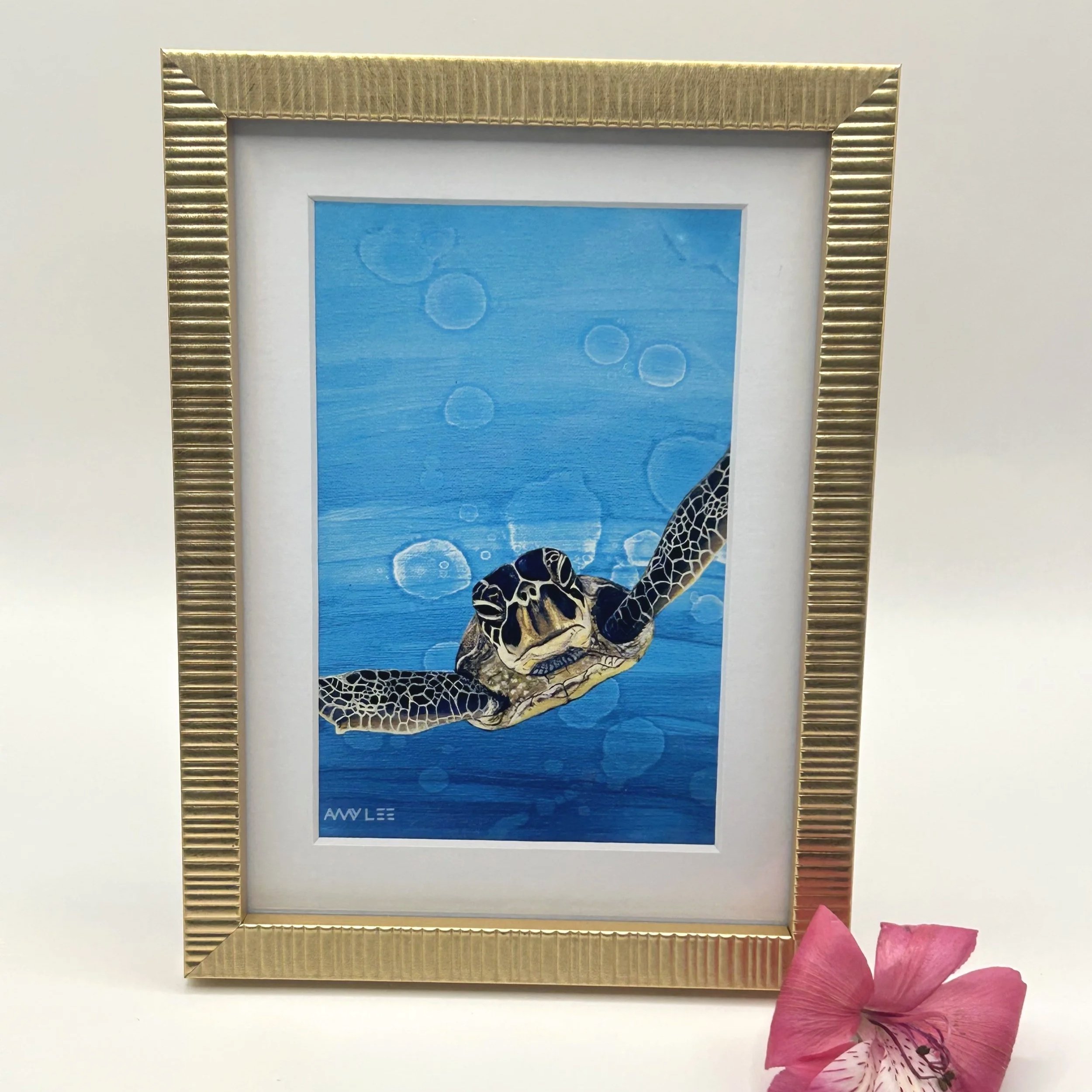 Sea Turtle - Framed Artwork | Amy Lee Designs