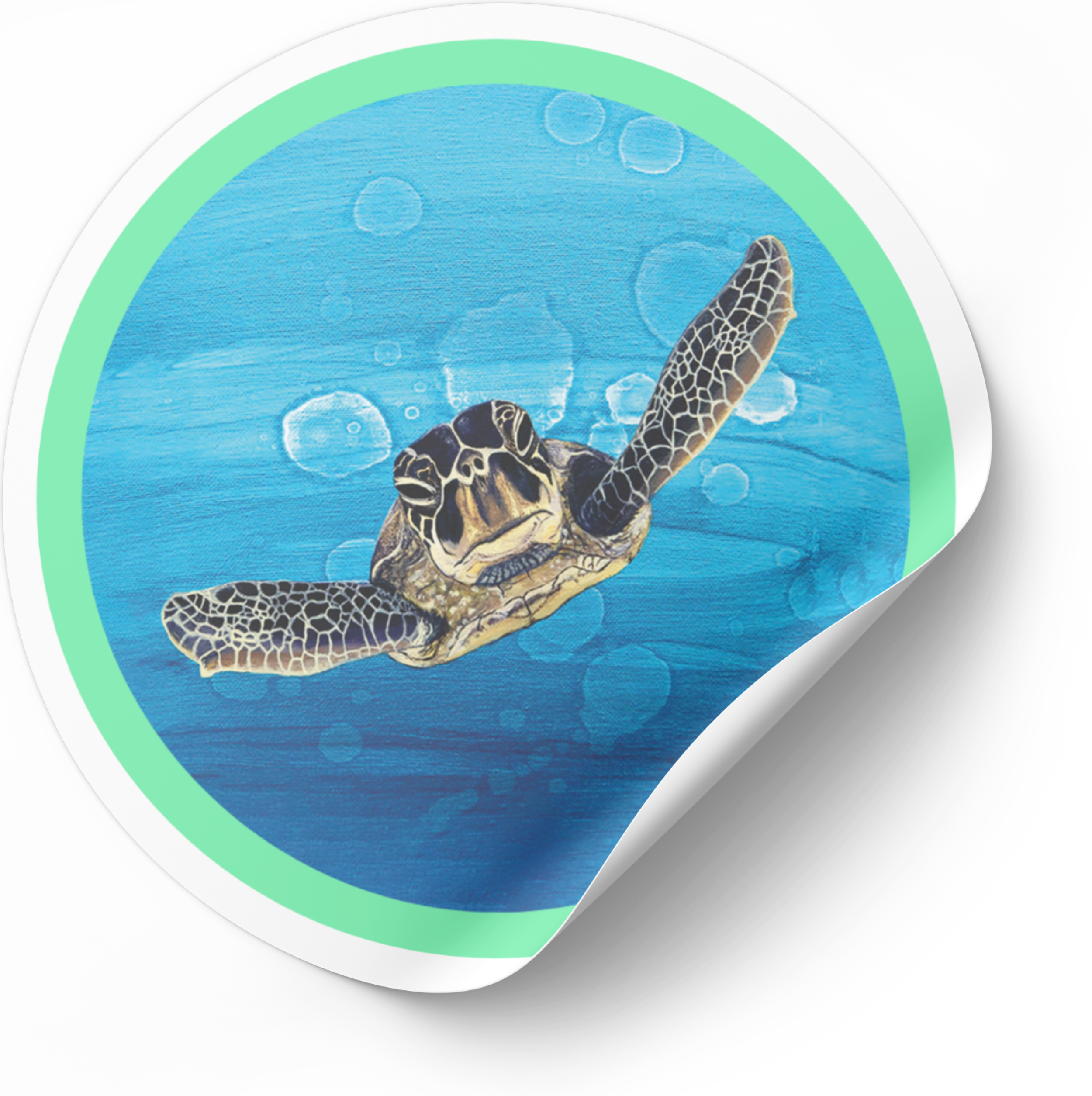 Sea Turtle | 3" Animal Art Vinyl Sticker | Amy Lee Designs