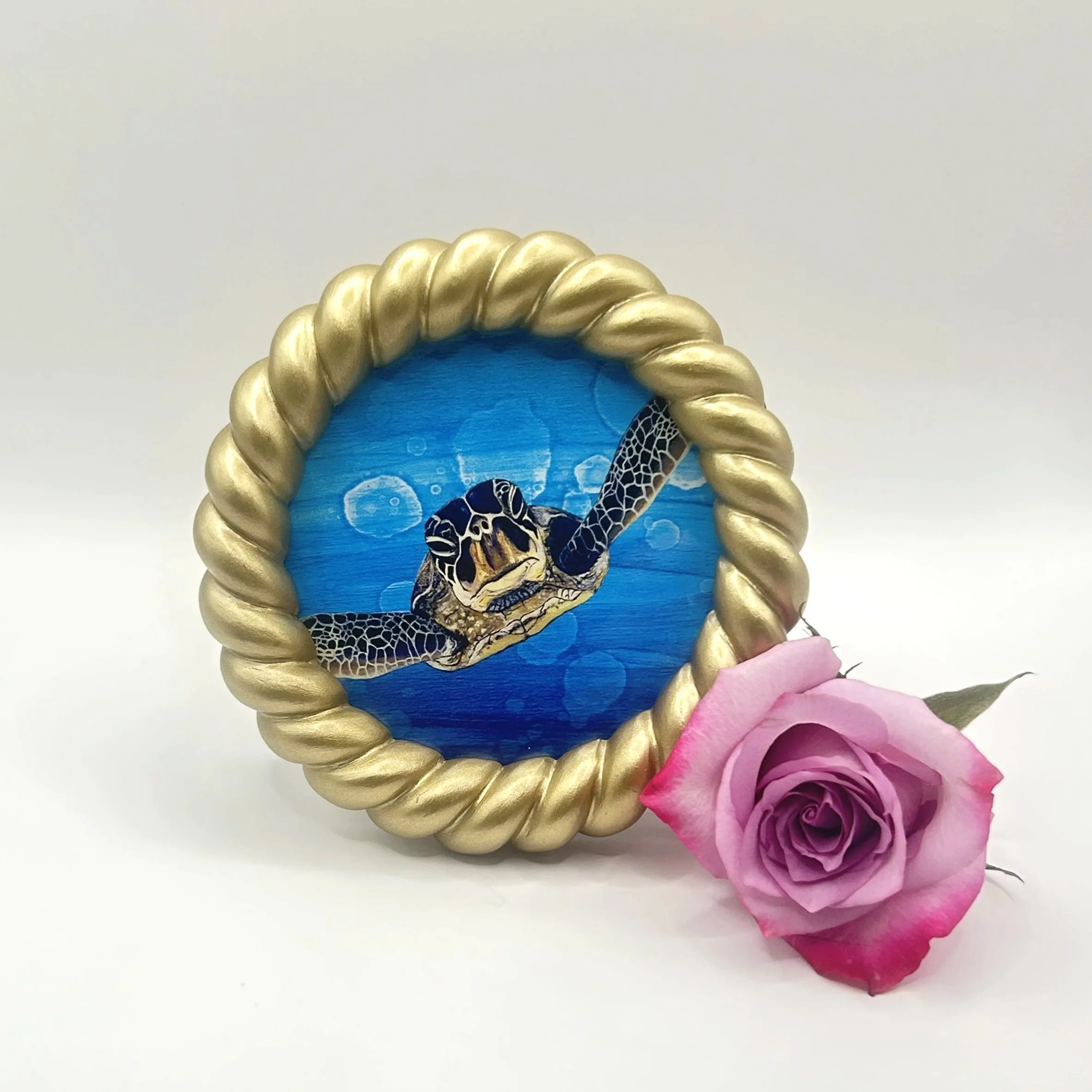 Sea Turtle - Framed Artwork | Amy Lee Designs